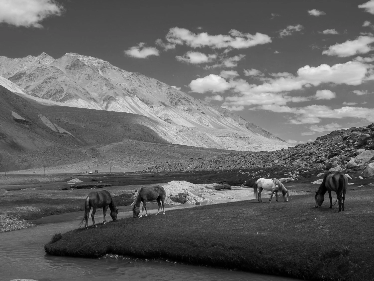 03_ladakh_horses_by_the_lake.jpg