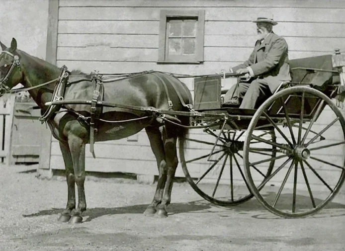 George Pain, approximately 1910 outside his shop in Martinborough