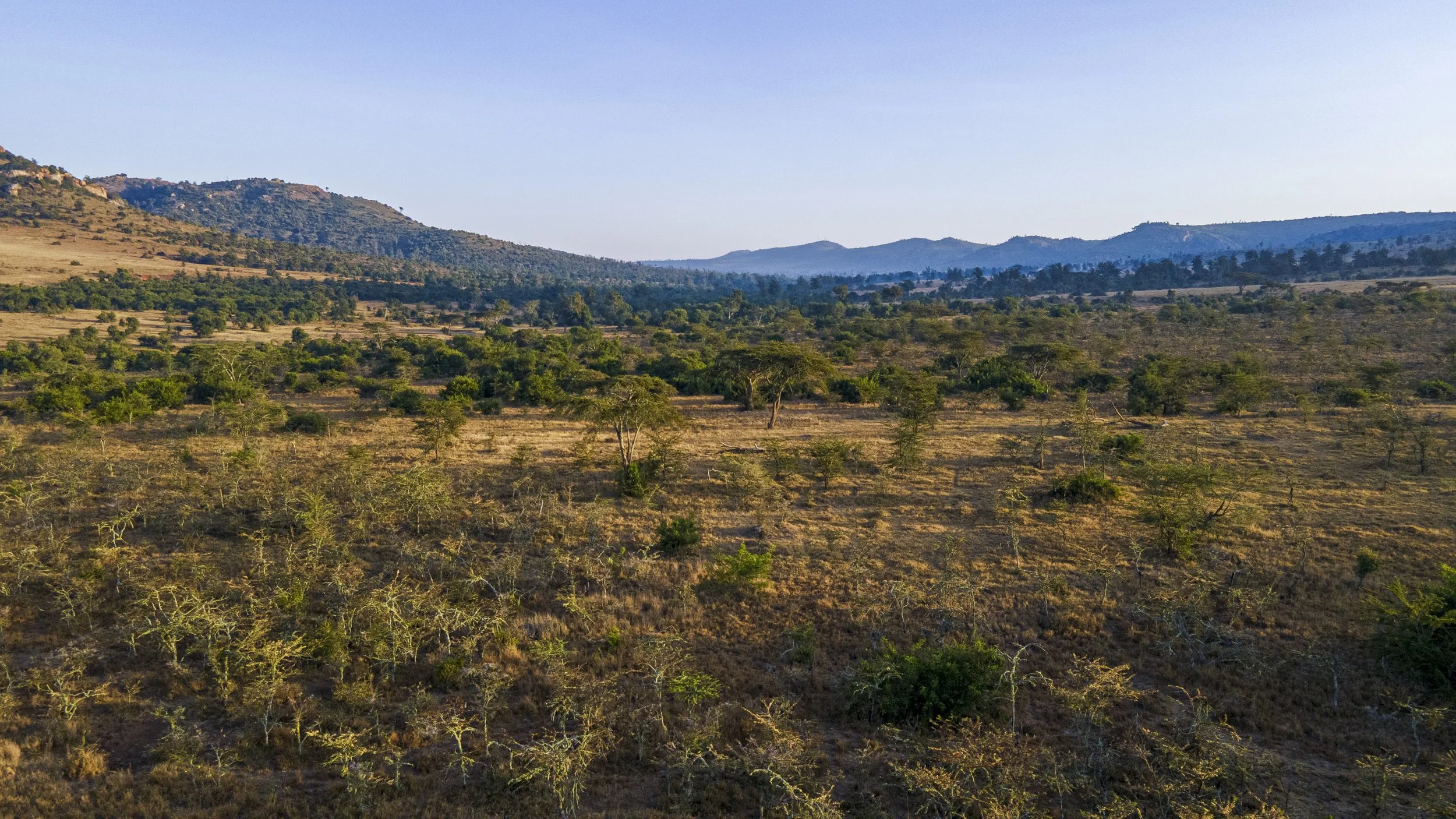 DJI_0653.jpg