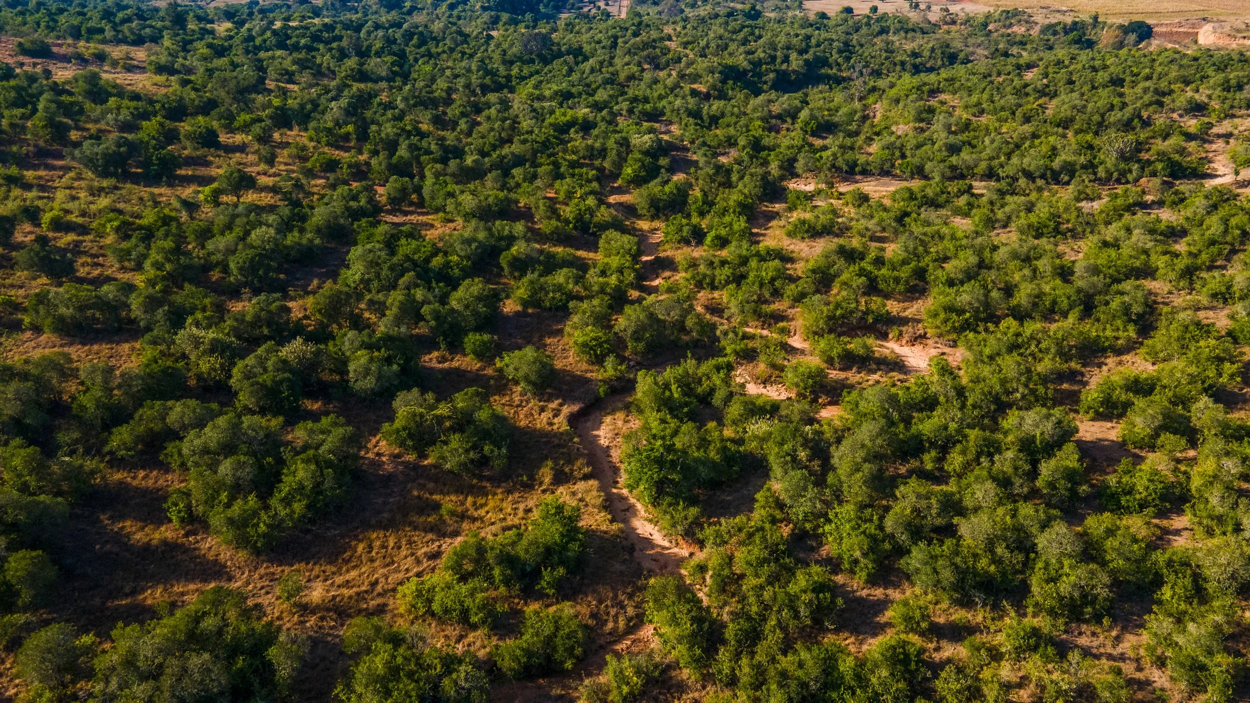 DJI_0825.jpg