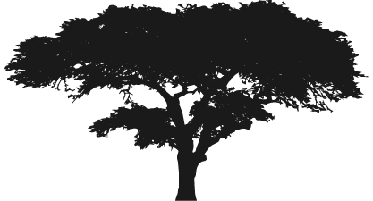 Lolldaiga Valley