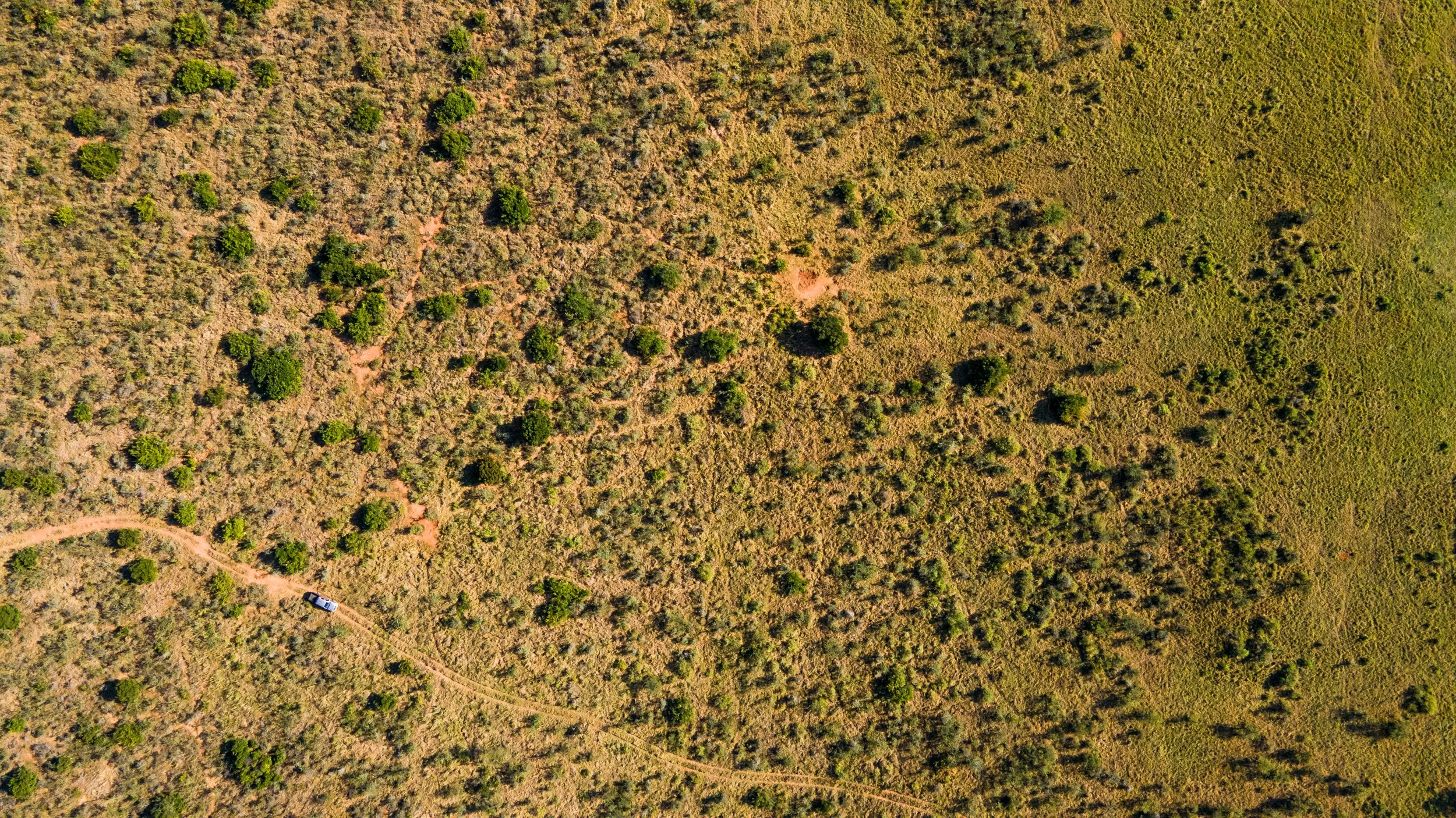 DJI_0897.jpg