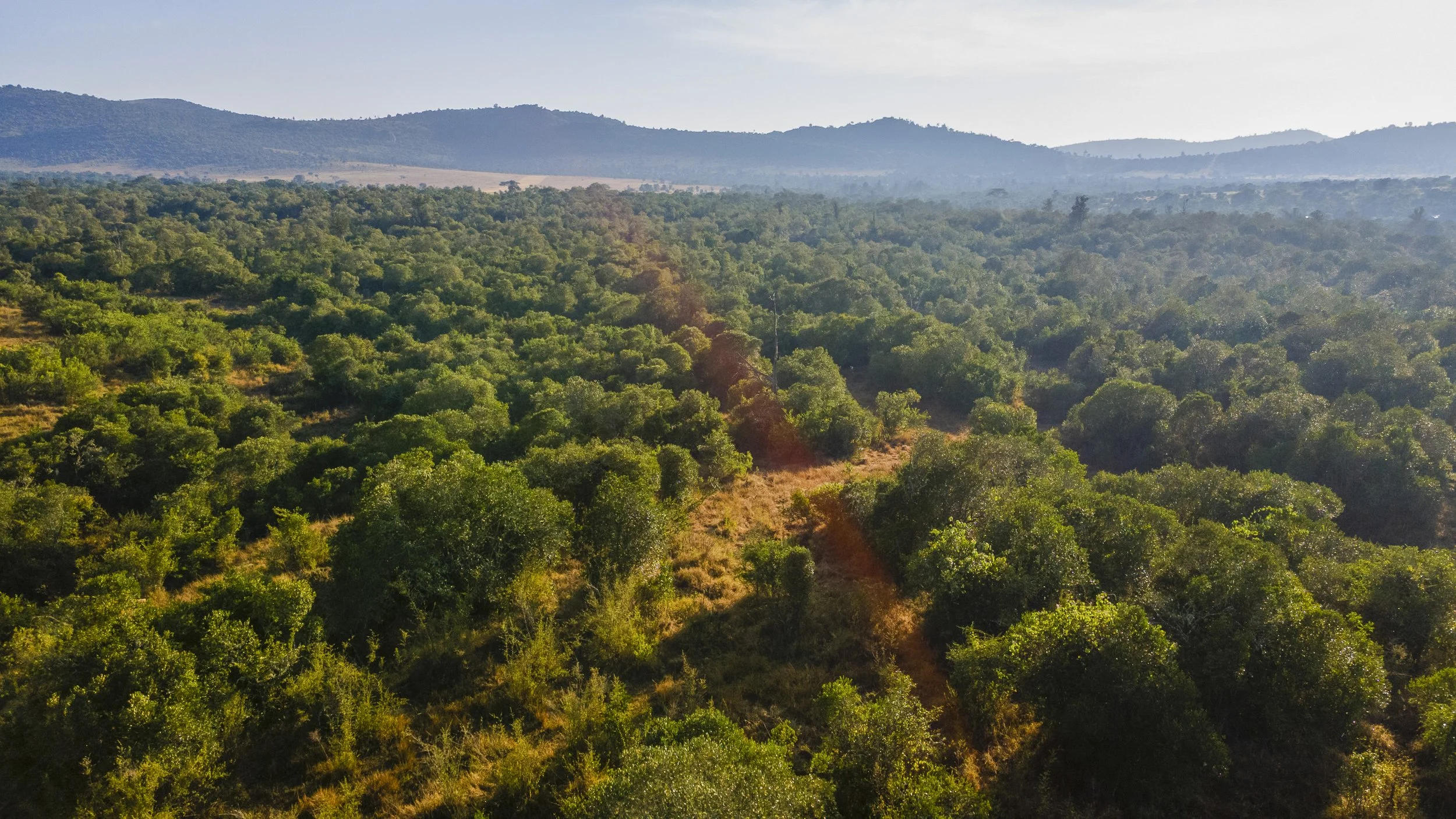 DJI_0045.jpg