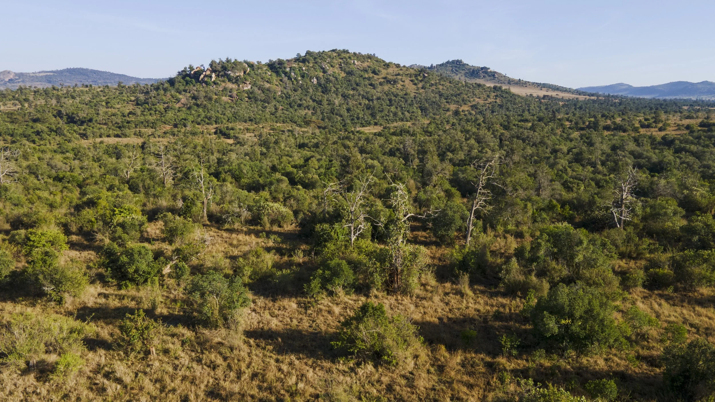 DJI_0492.jpg