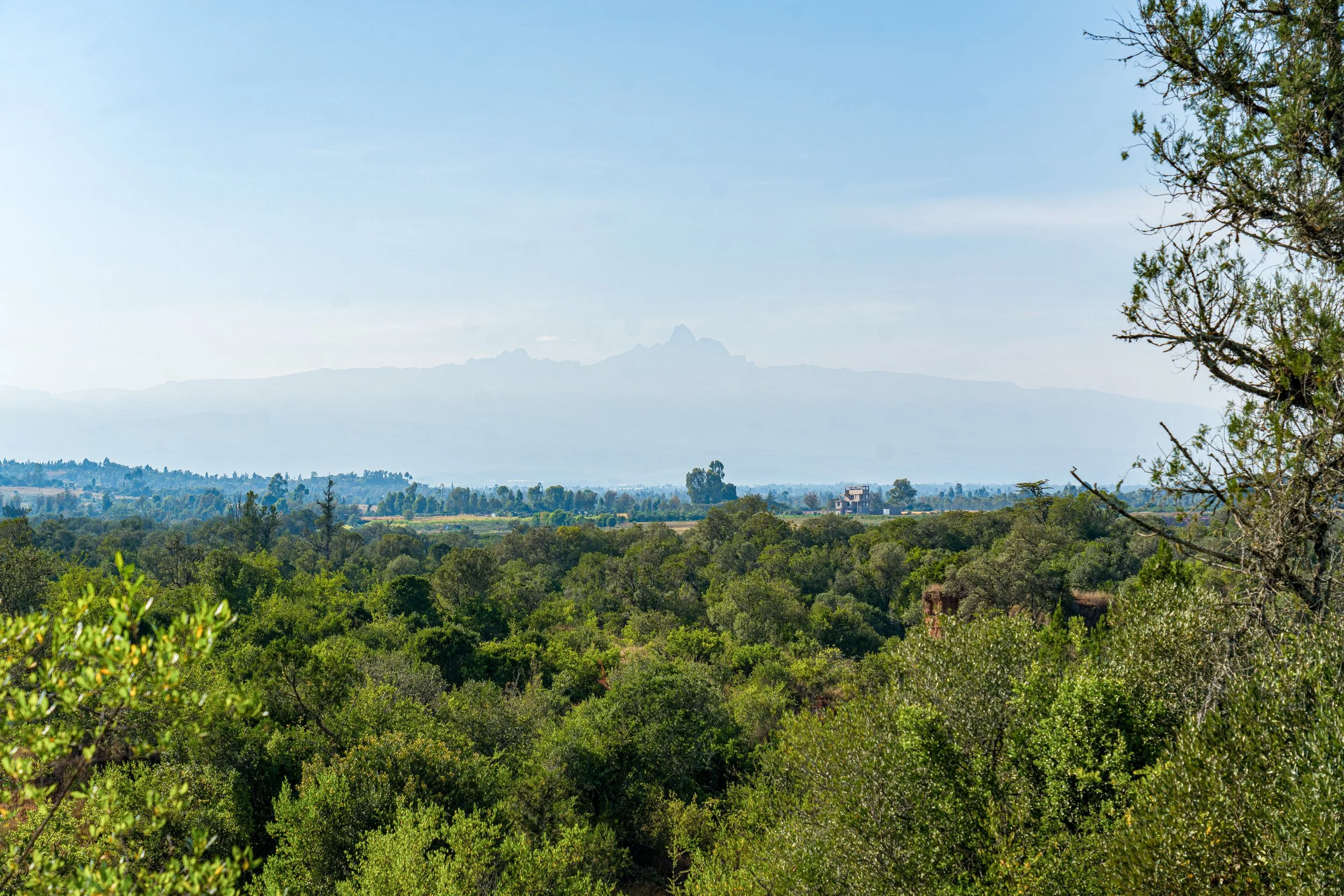 A7400556.jpg