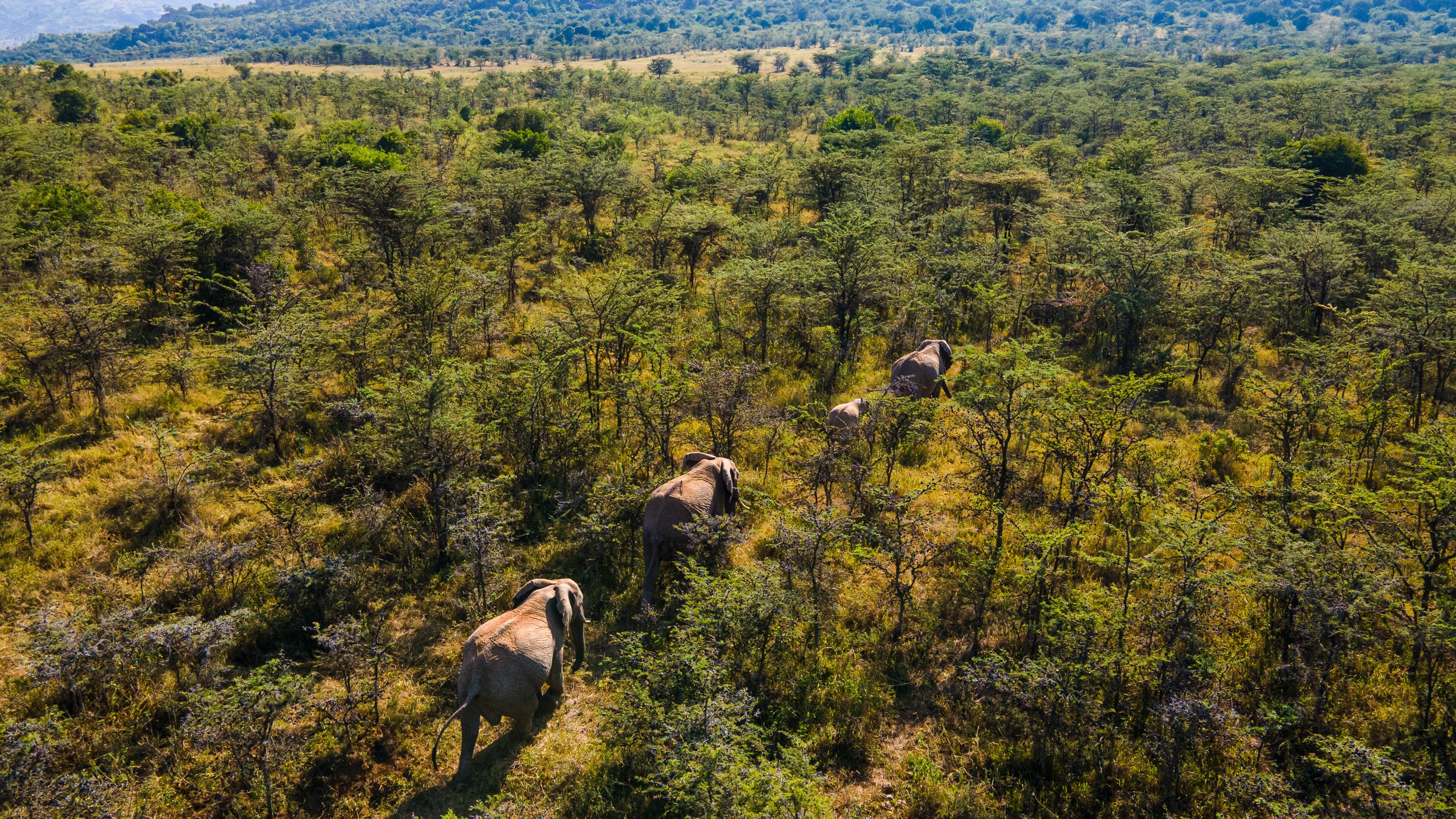 DJI_0929.jpg