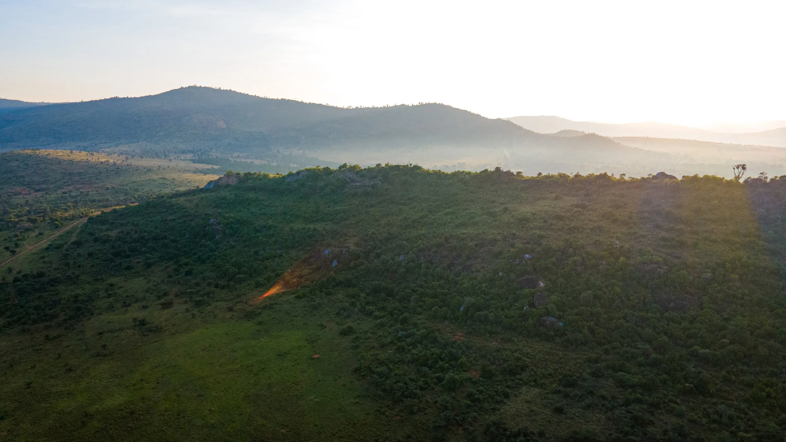 DJI_0866.jpg