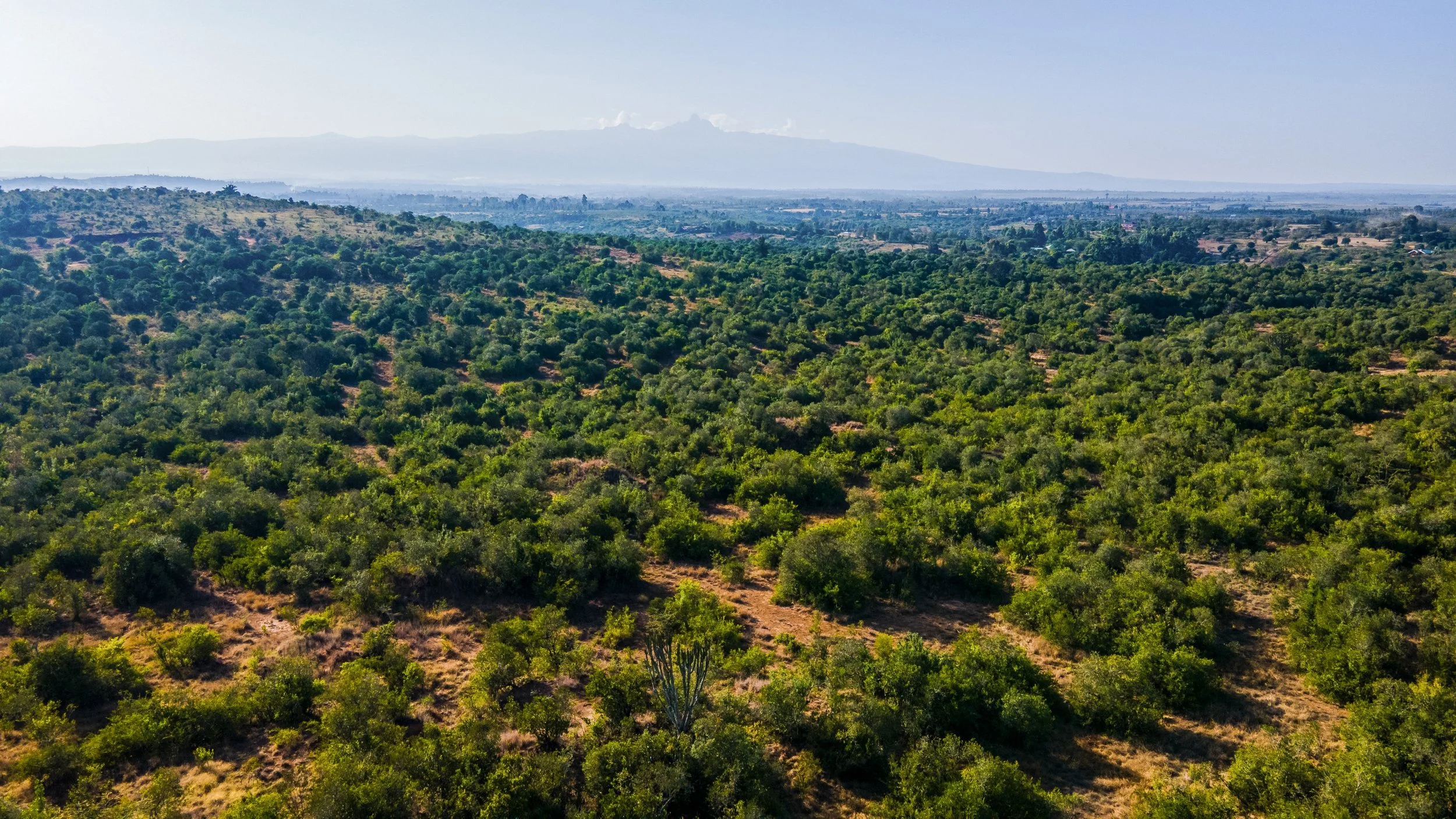 DJI_0801.jpg