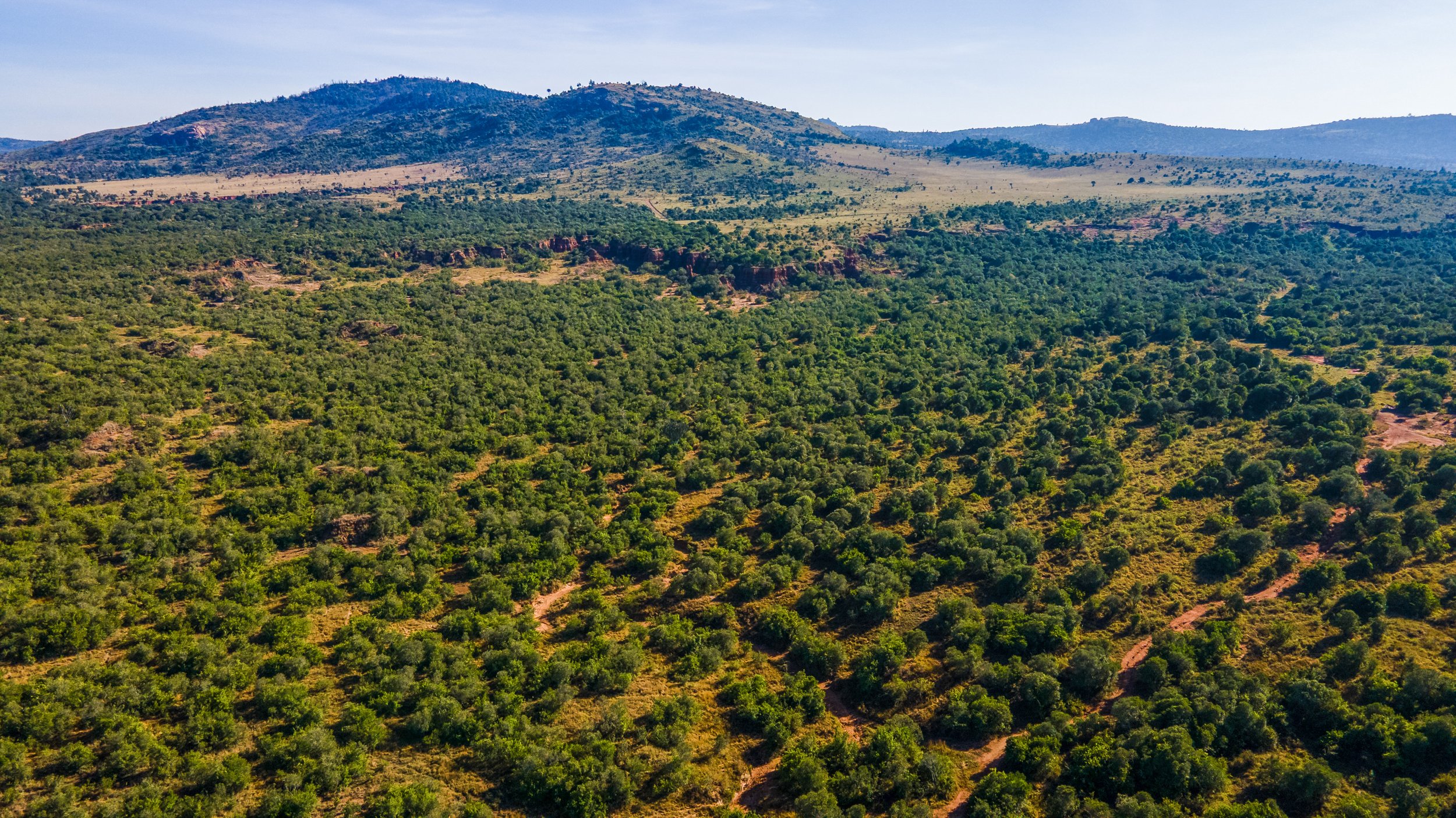 DJI_0233.jpg