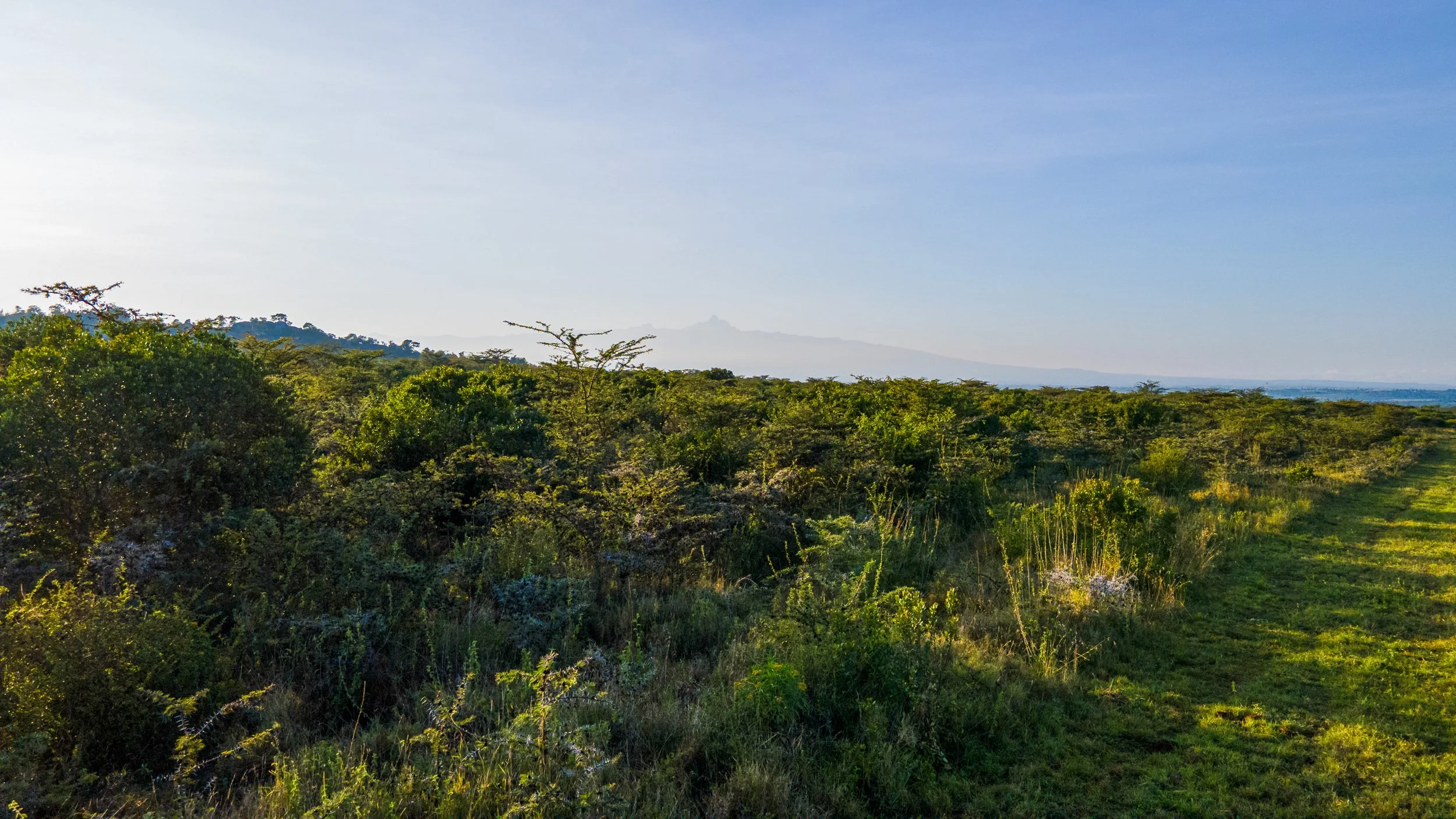 DJI_0955.jpg