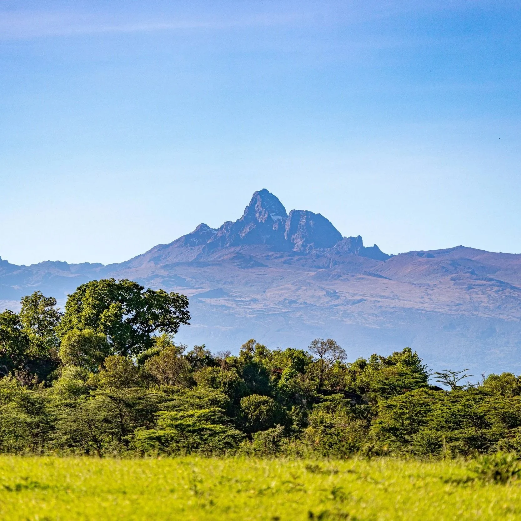 A mountain with a rocky peak in the distance under a clear blue sky, with a lush green forest in the foreground.