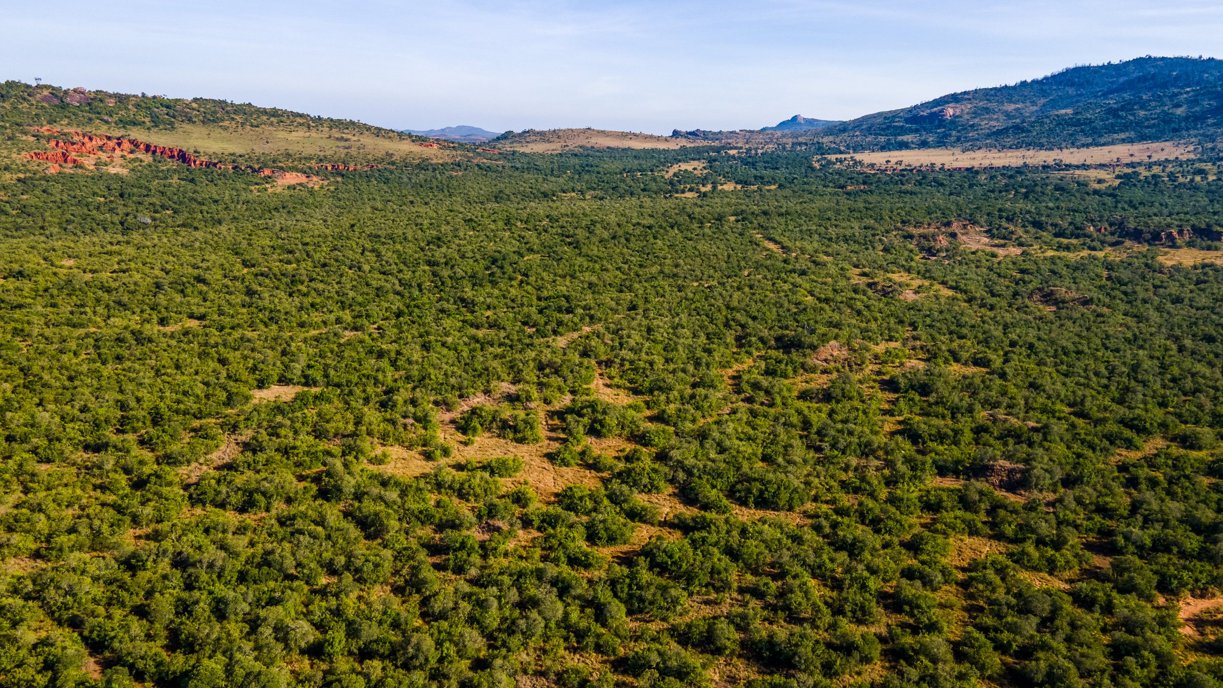 DJI_0234.jpg