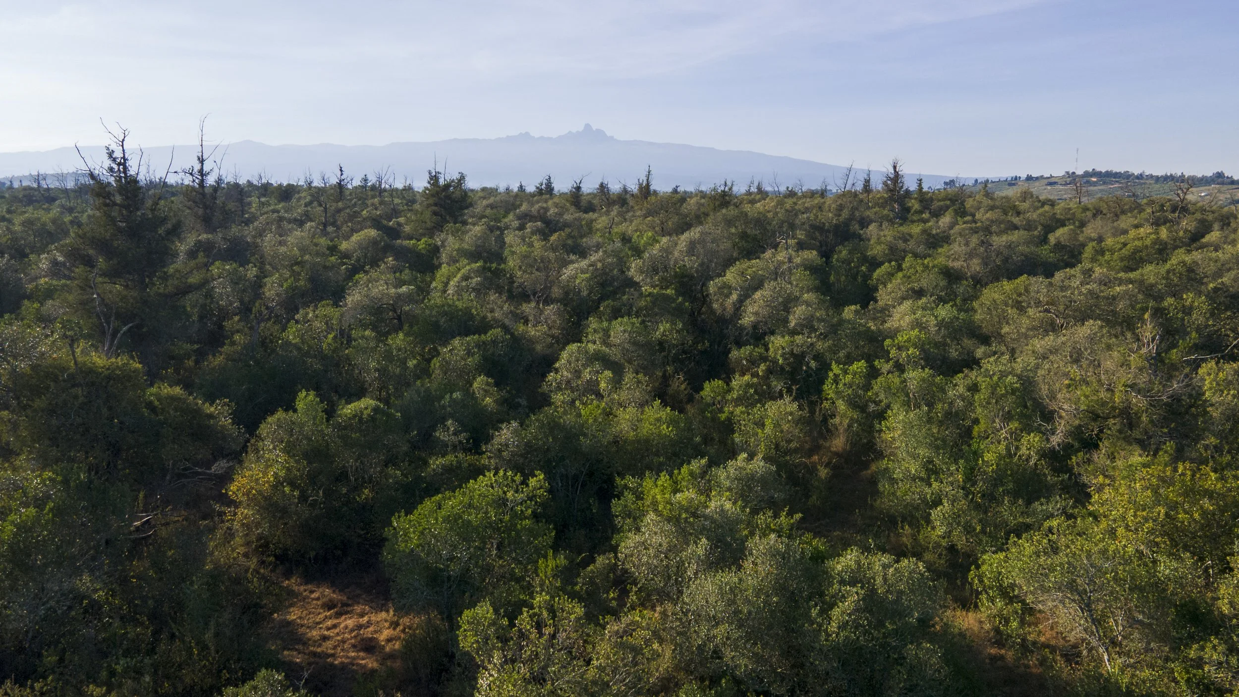 DJI_0490.jpg