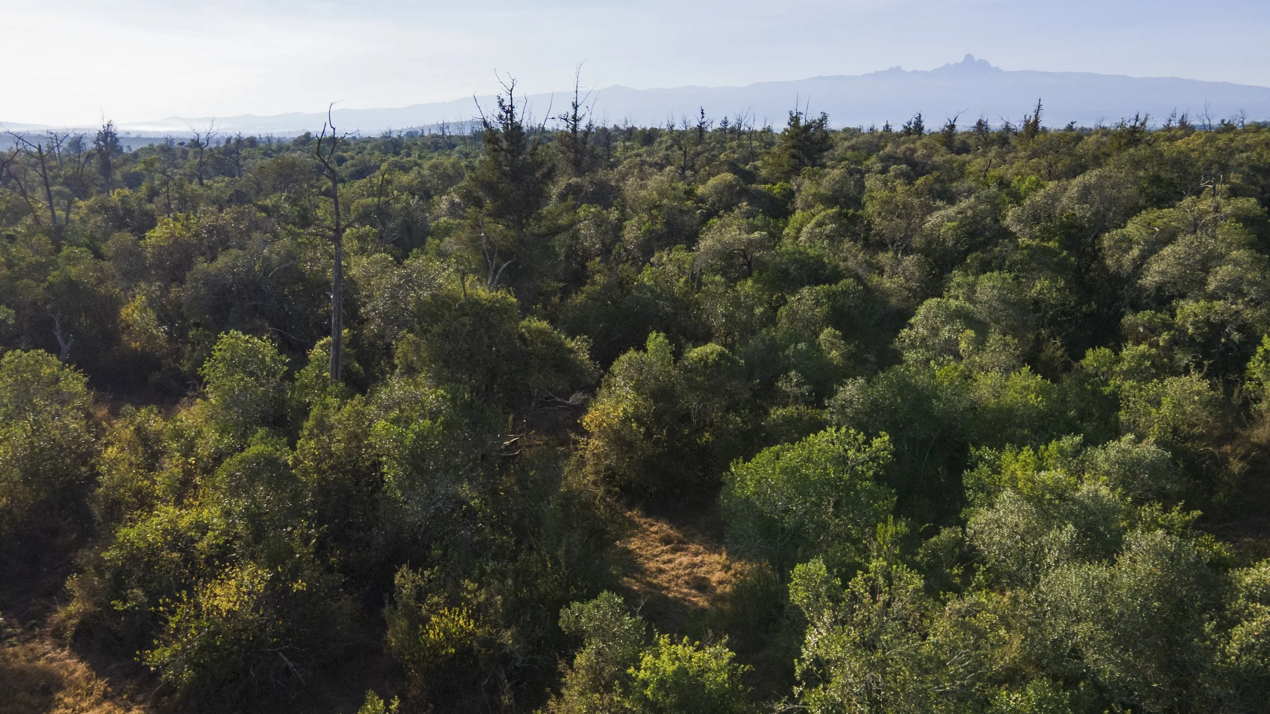 DJI_0489.jpg