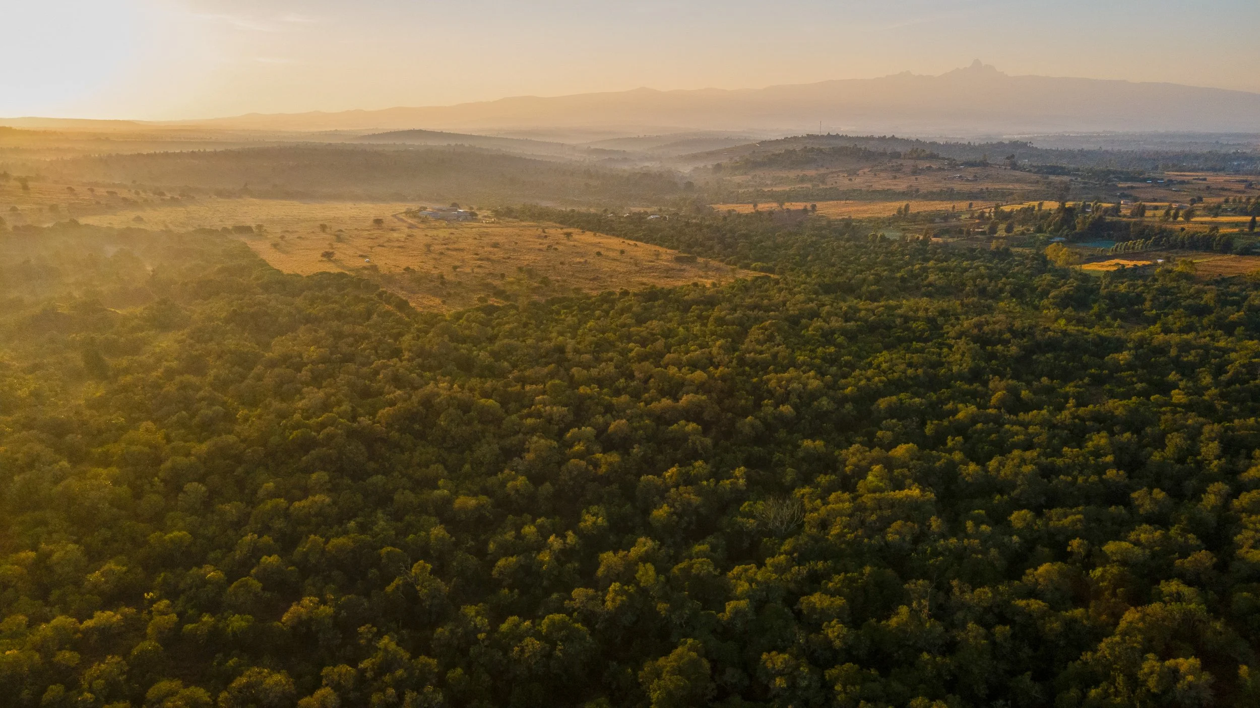 DJI_0004.jpg