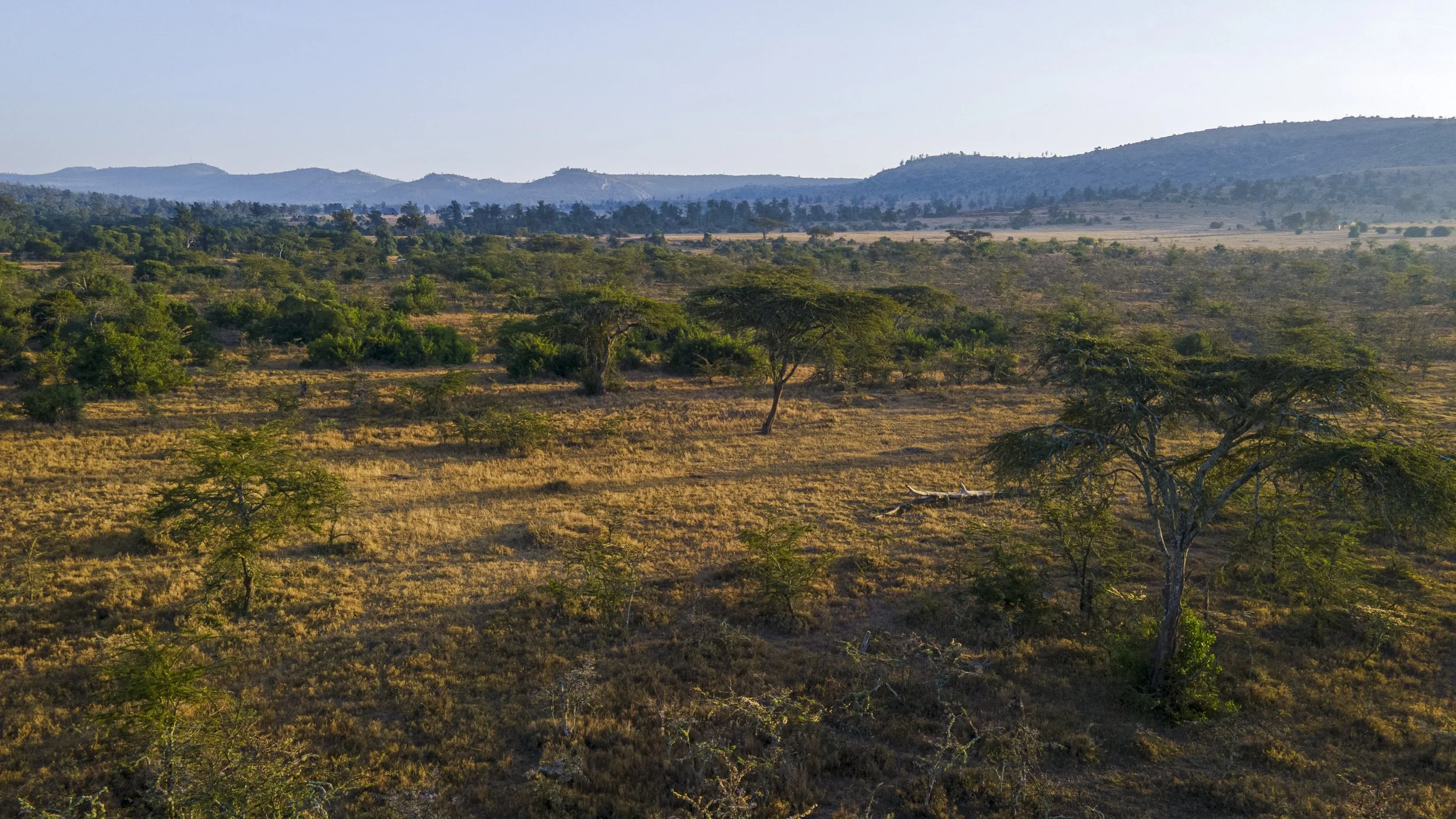 DJI_0674.jpg