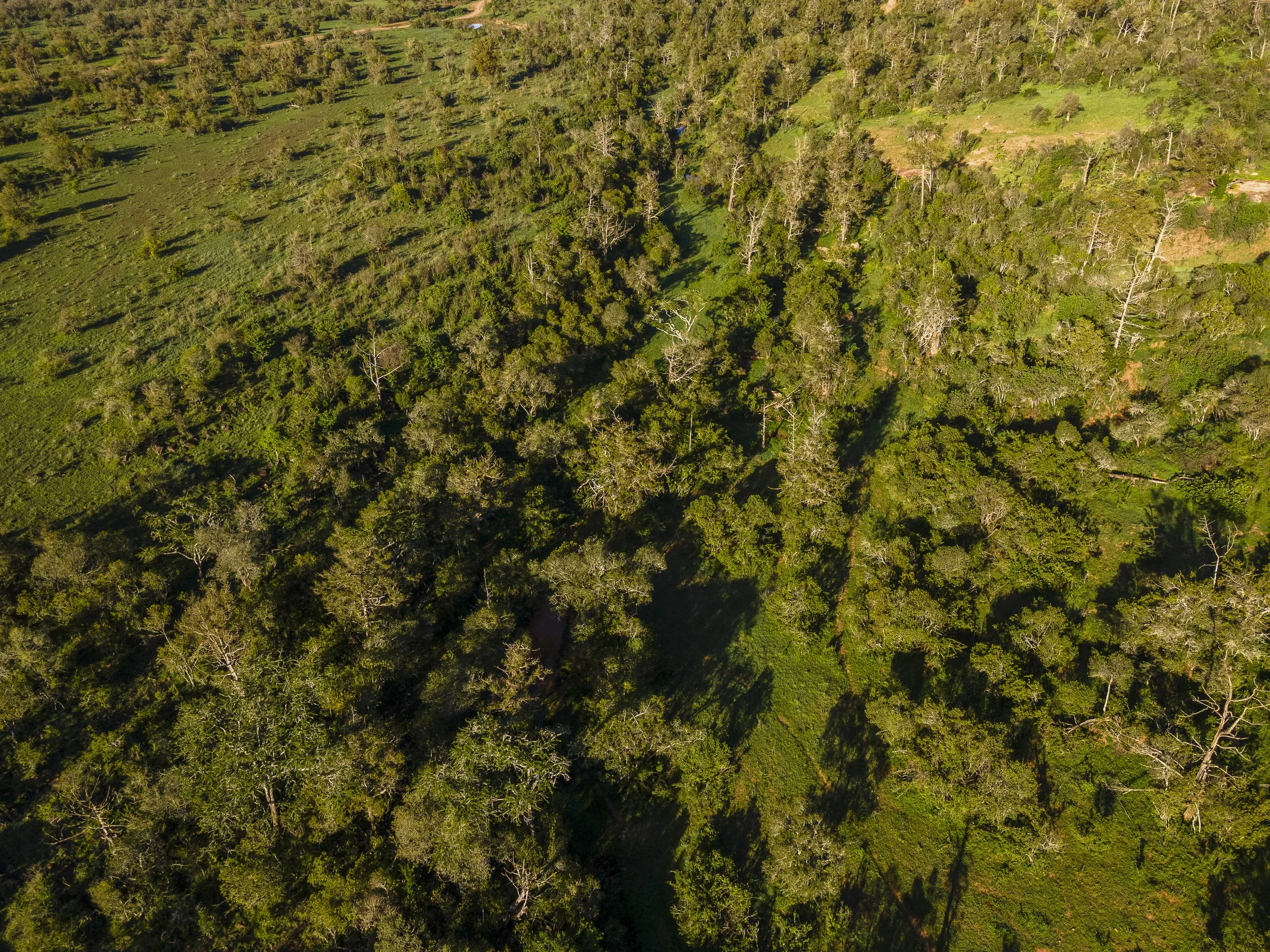 Lolldaigas-aerial-stills-1-9.jpg