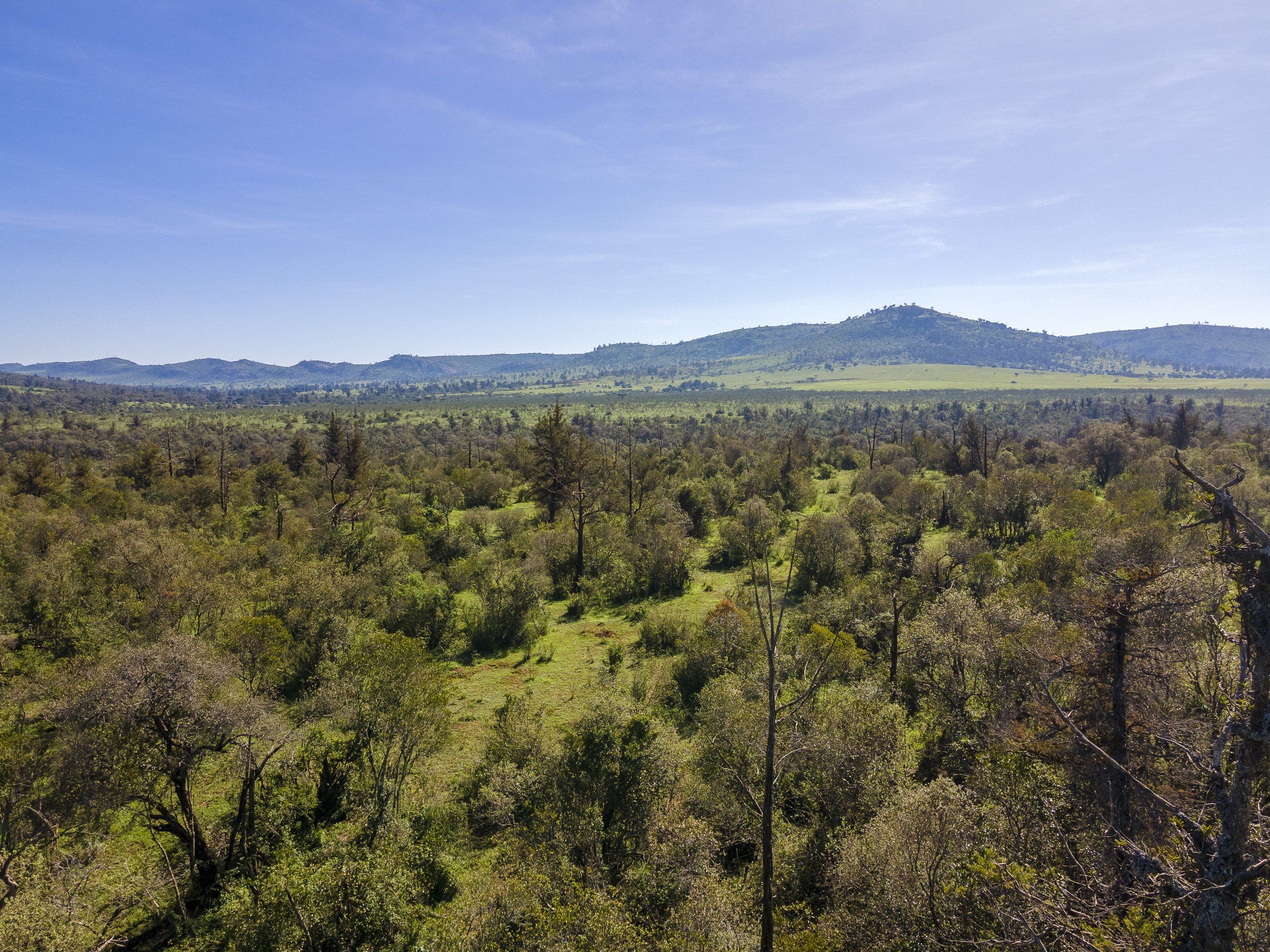 Lolldaigas-aerial-stills-1-82.jpg