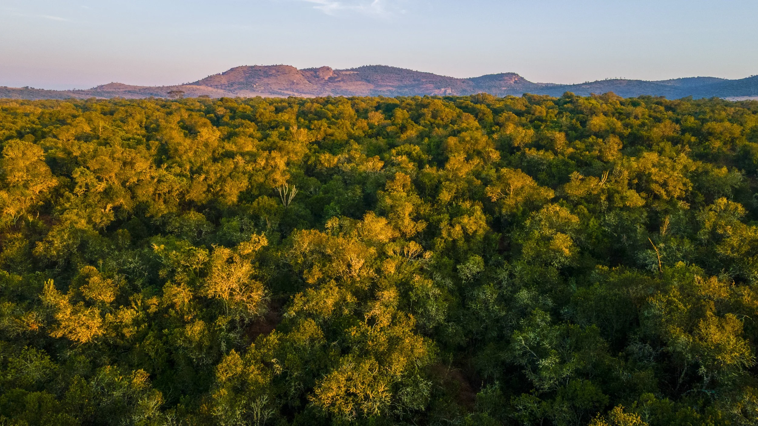 DJI_0984.jpg