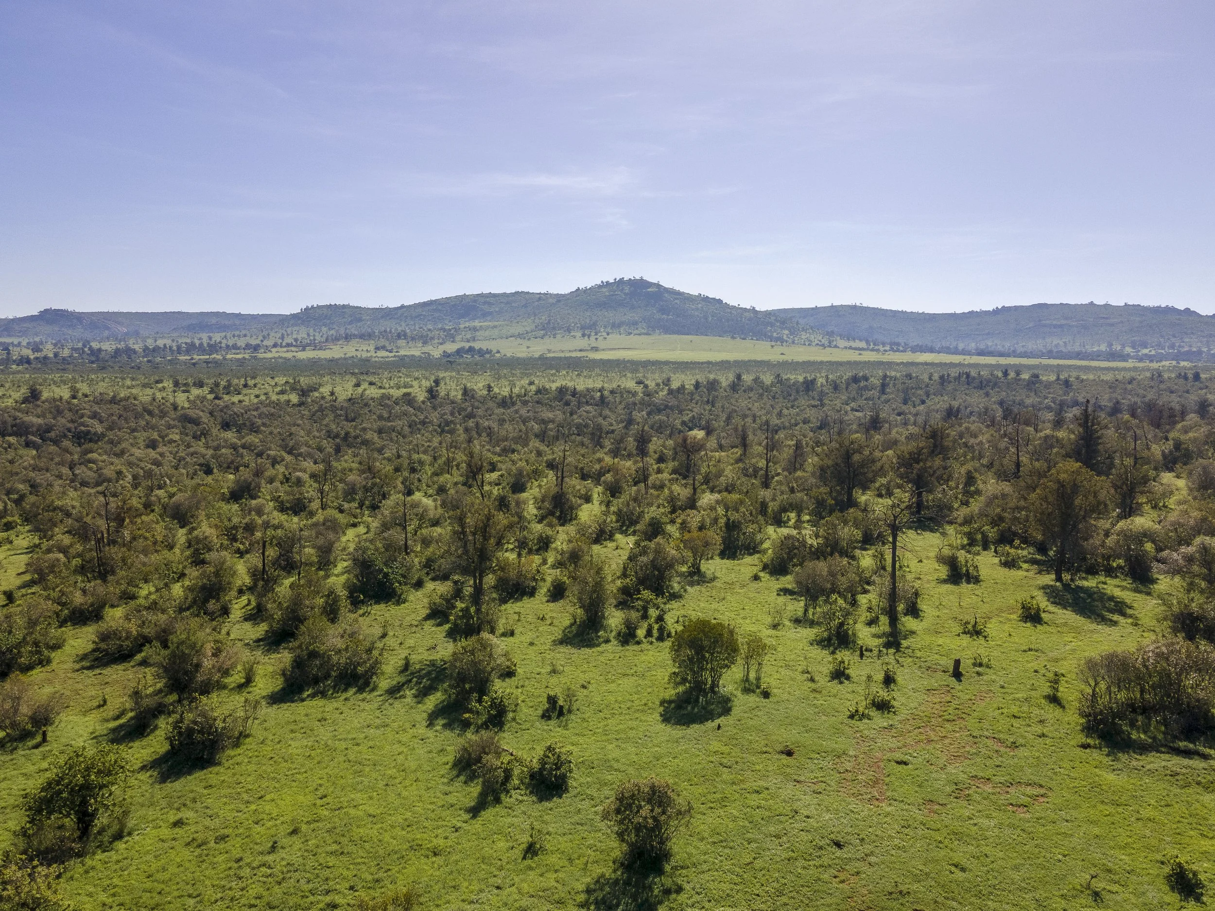 Lolldaigas-aerial-stills-1-84.jpg