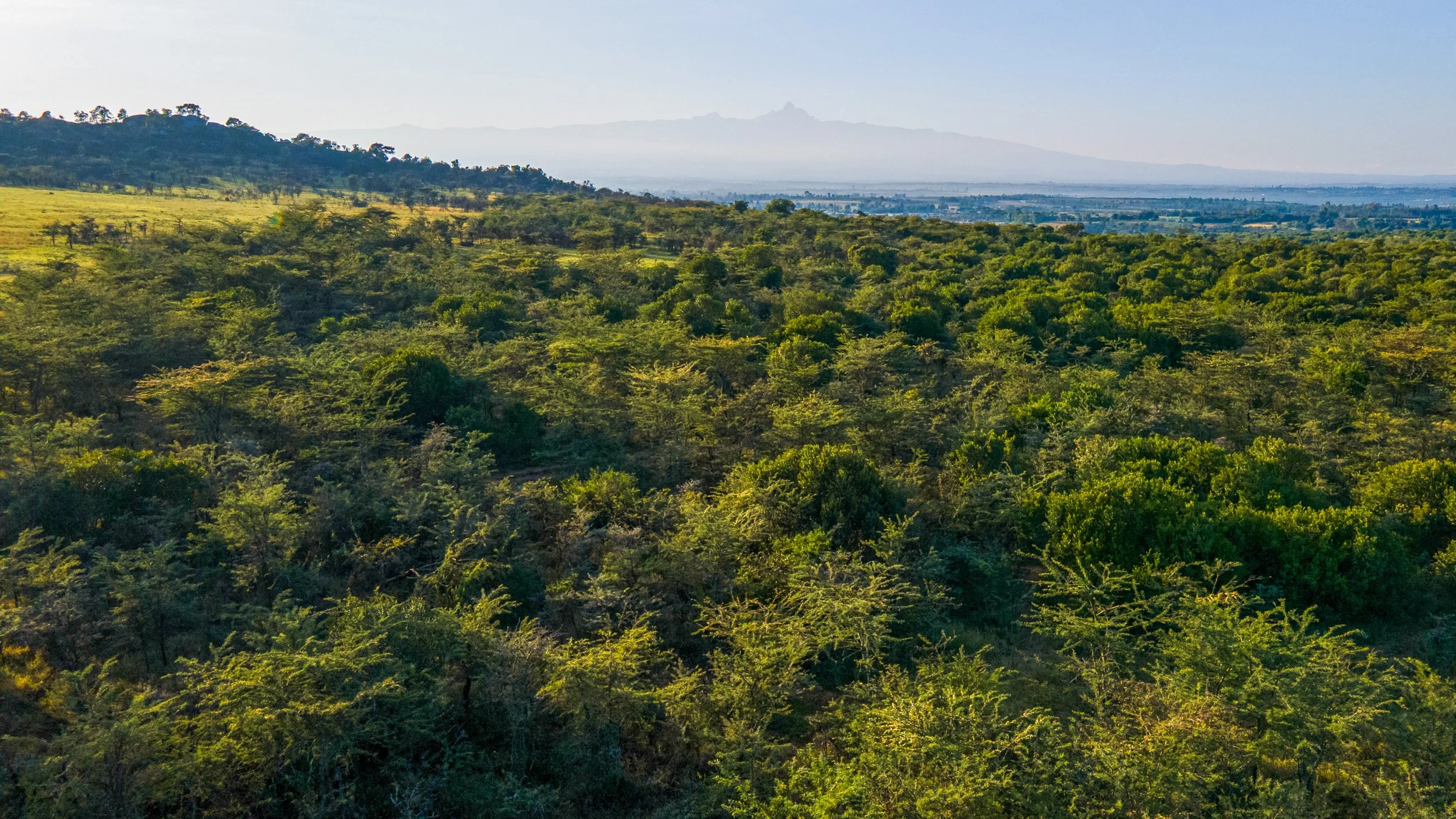 DJI_0970.jpg