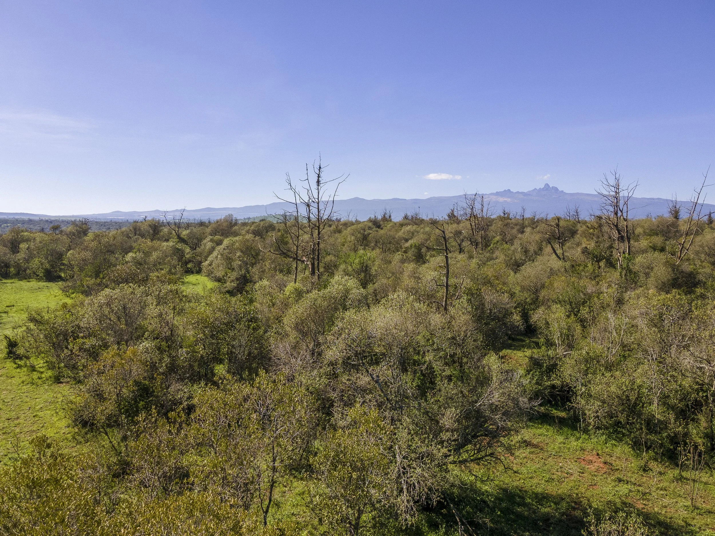 Lolldaigas-aerial-stills-1-83.jpg
