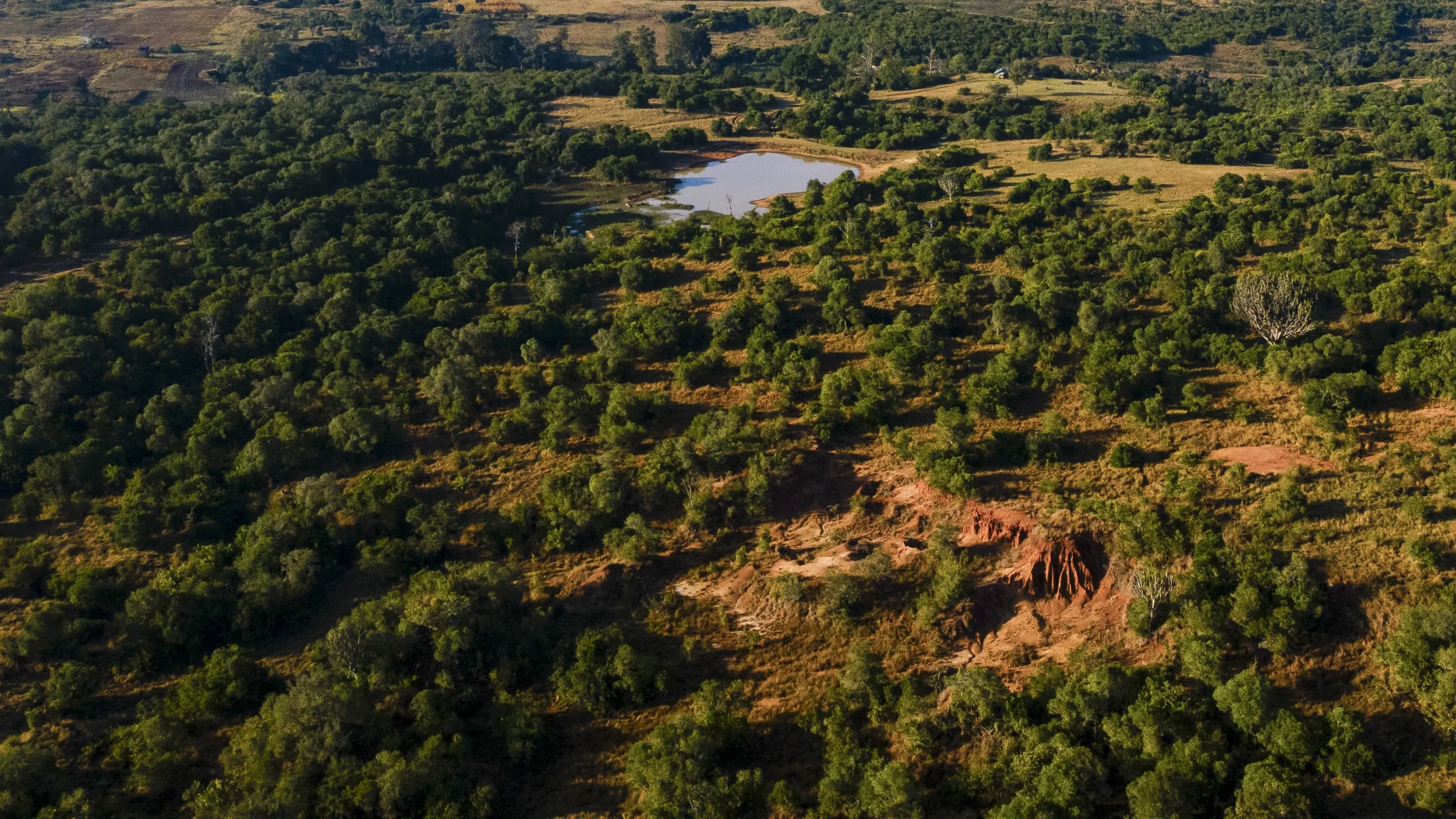 DJI_0065.jpg