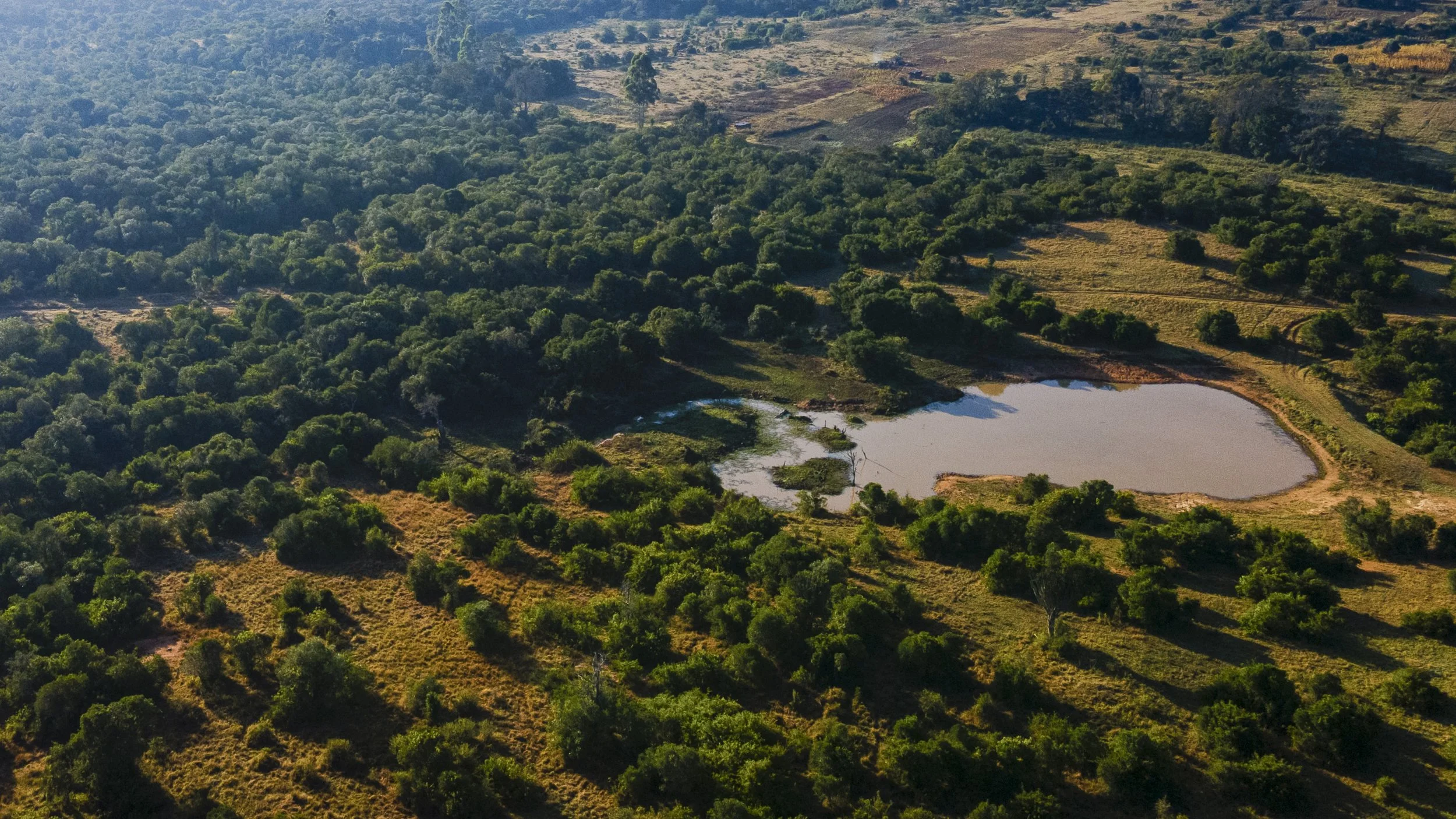 DJI_0066.jpg