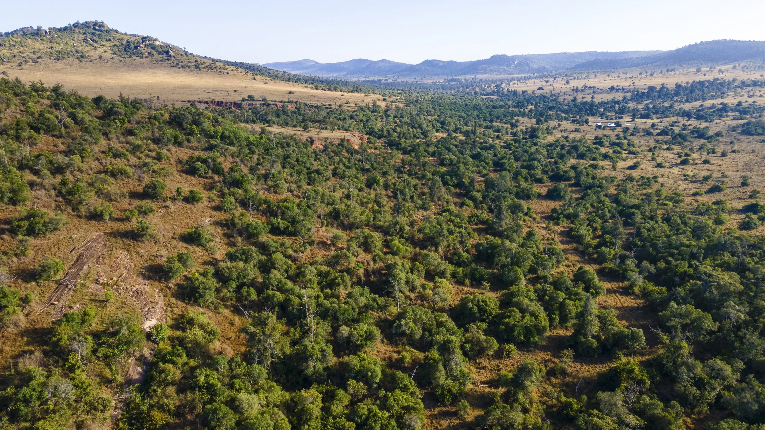 DJI_0292.jpg