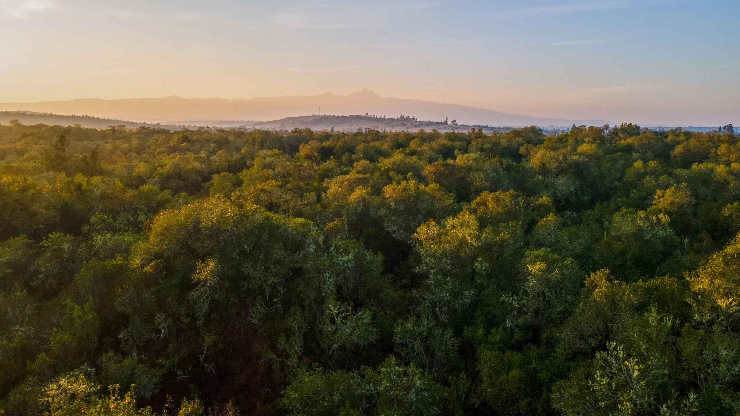 DJI_0981.jpg