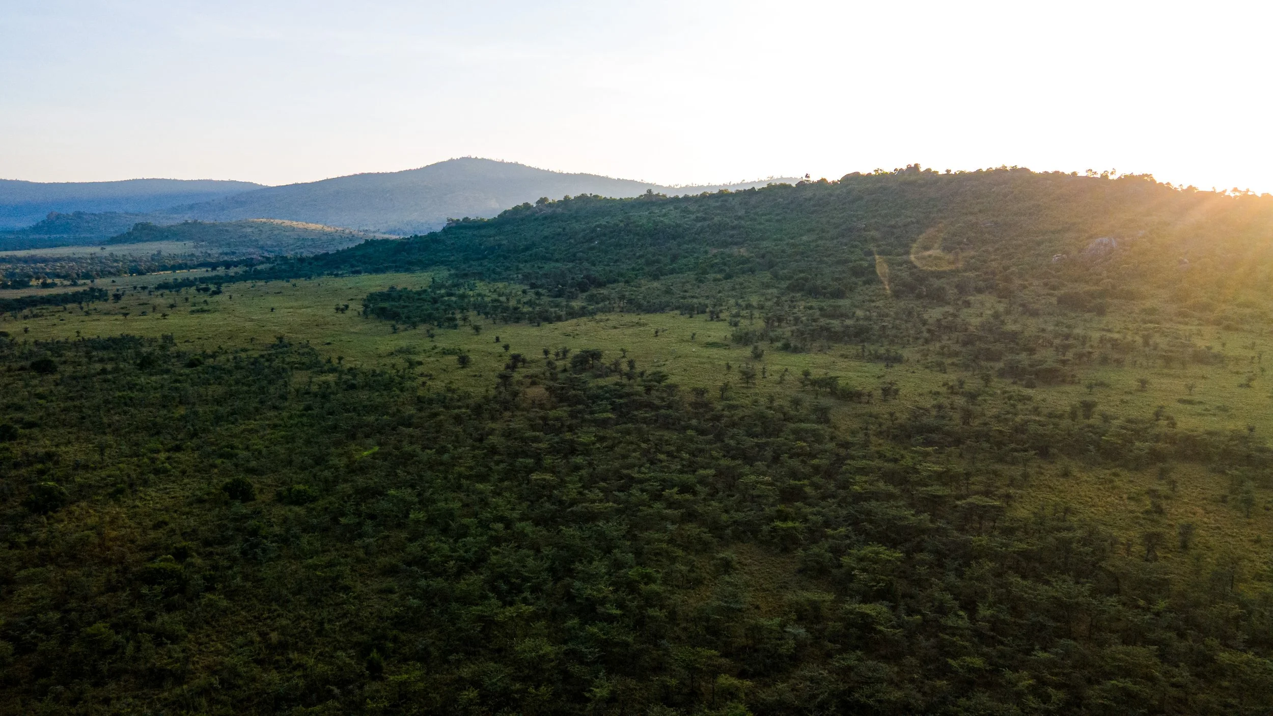 DJI_0858.jpg