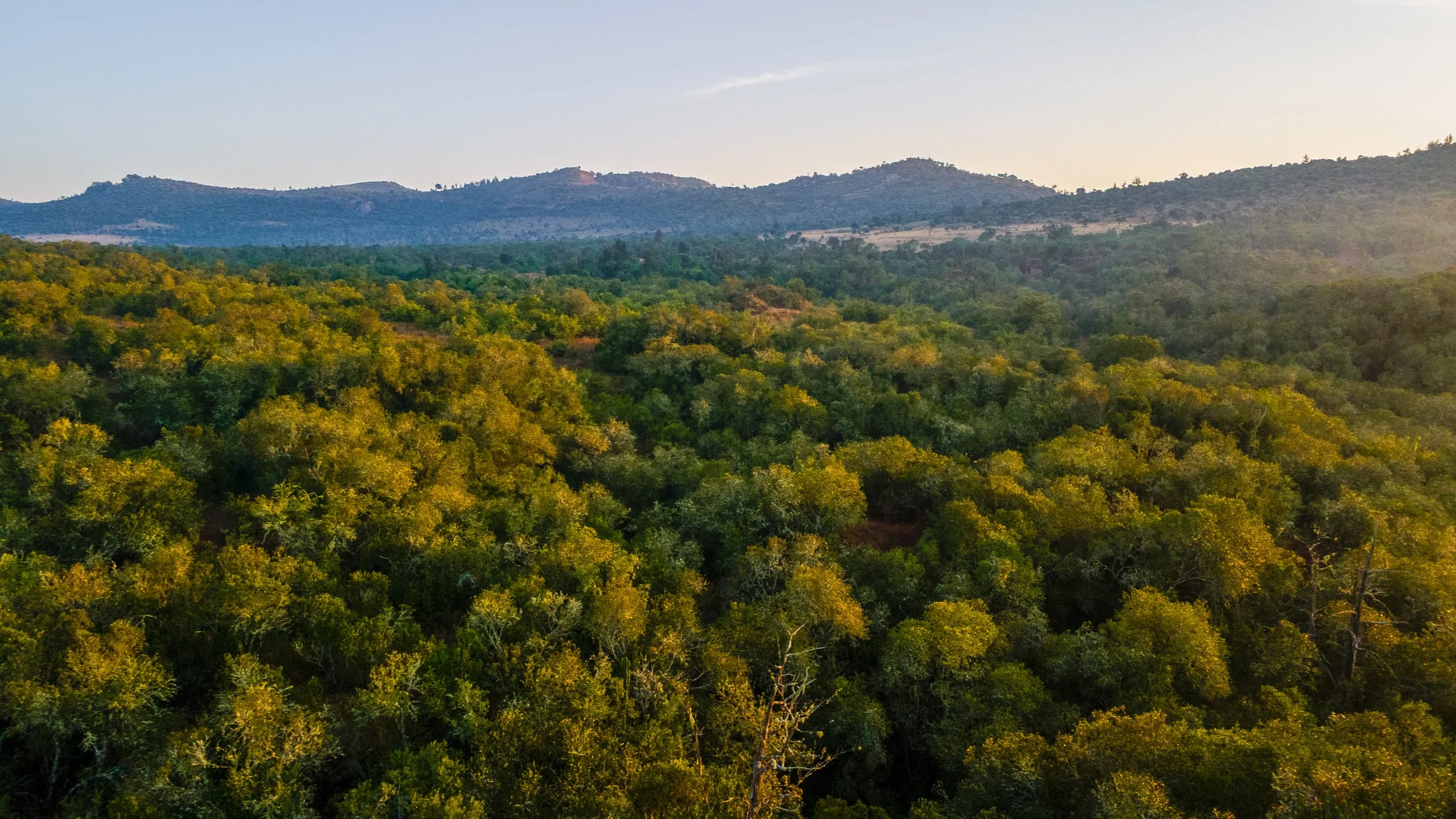 DJI_0982.jpg