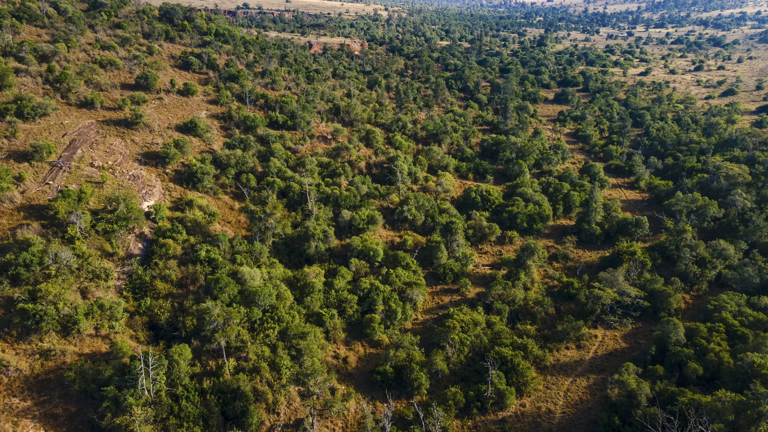 DJI_0291.jpg