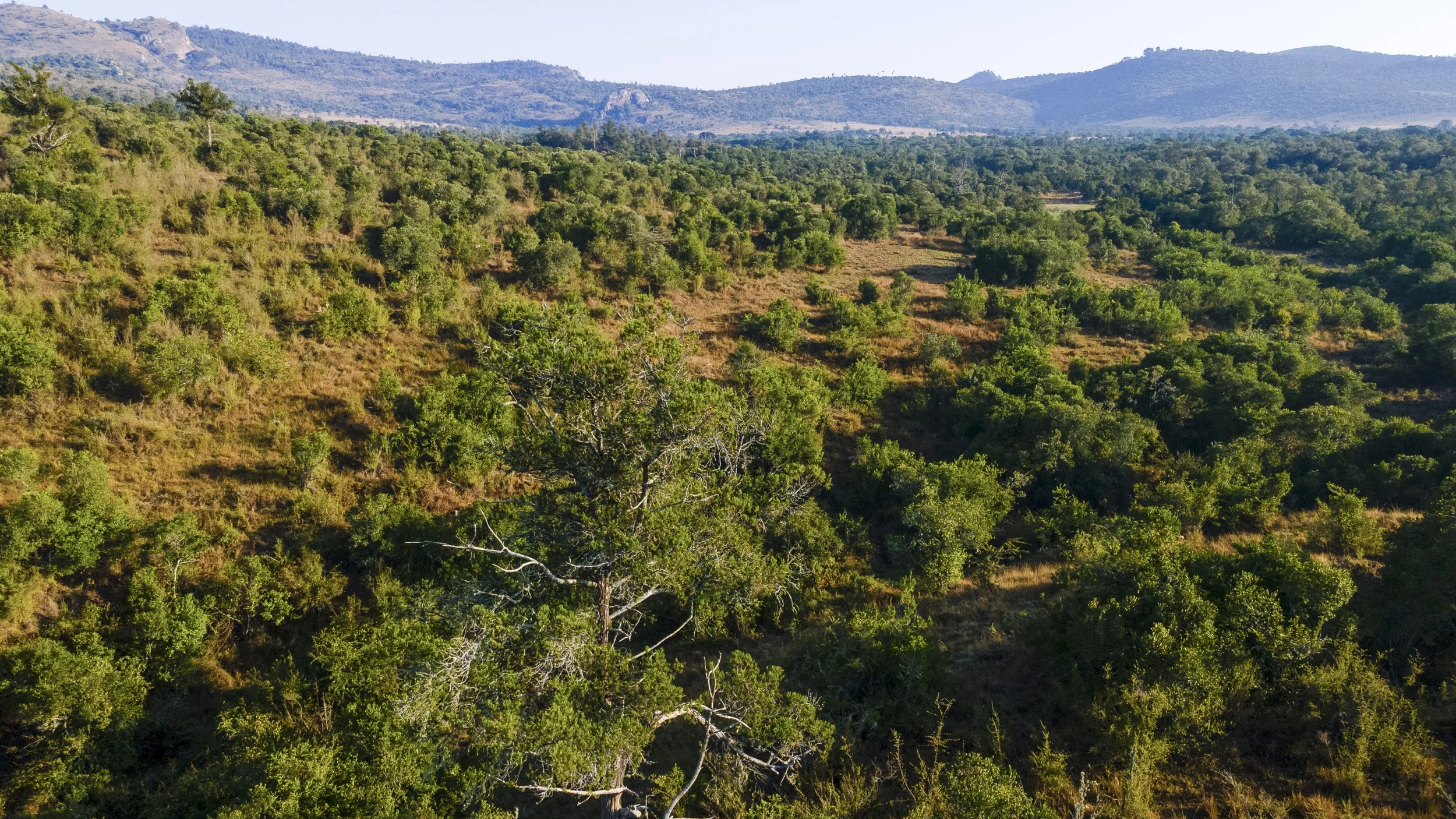 DJI_0046.jpg