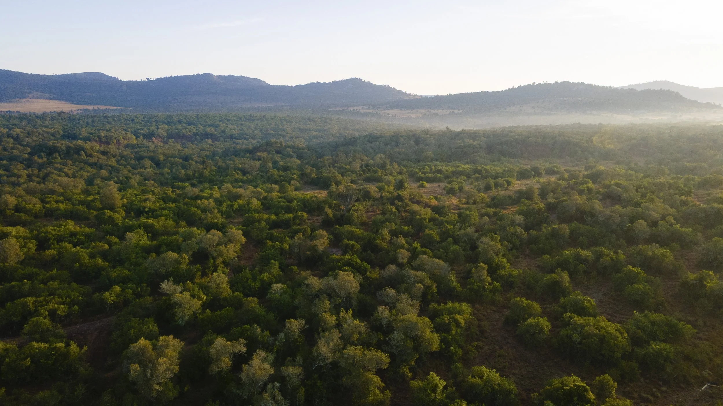 DJI_0017.jpg