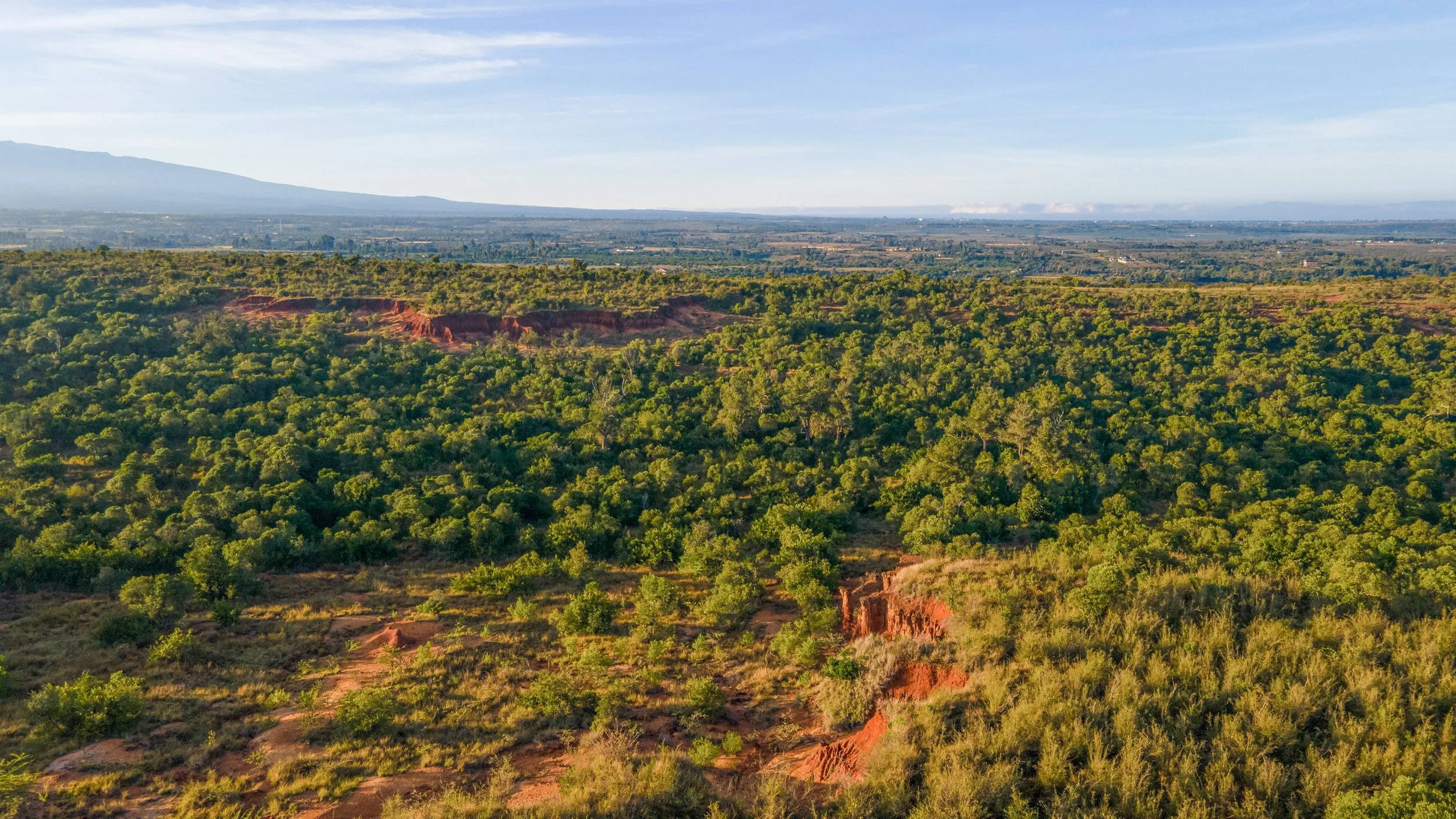 DJI_0146.jpg
