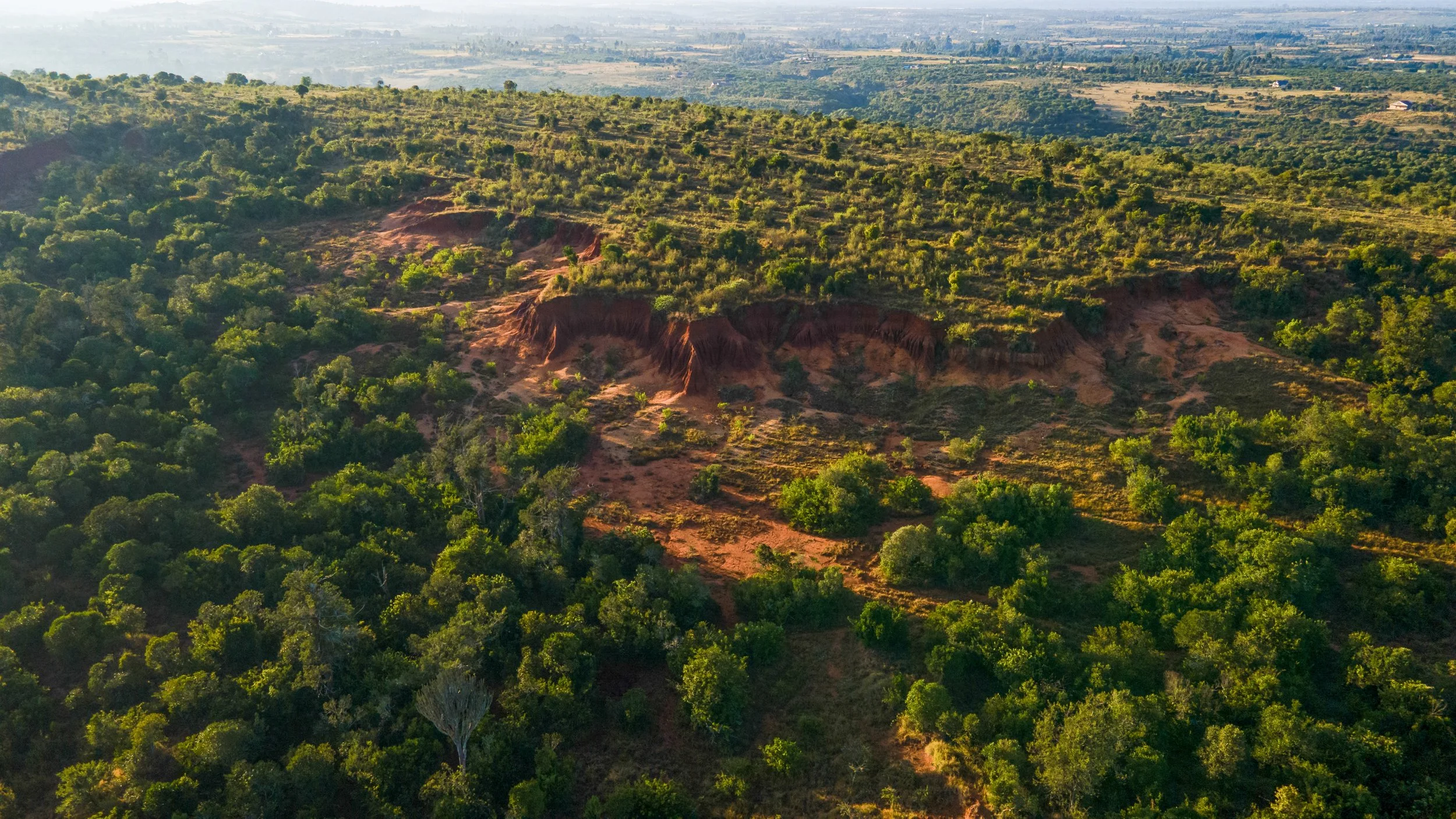 DJI_0156.jpg