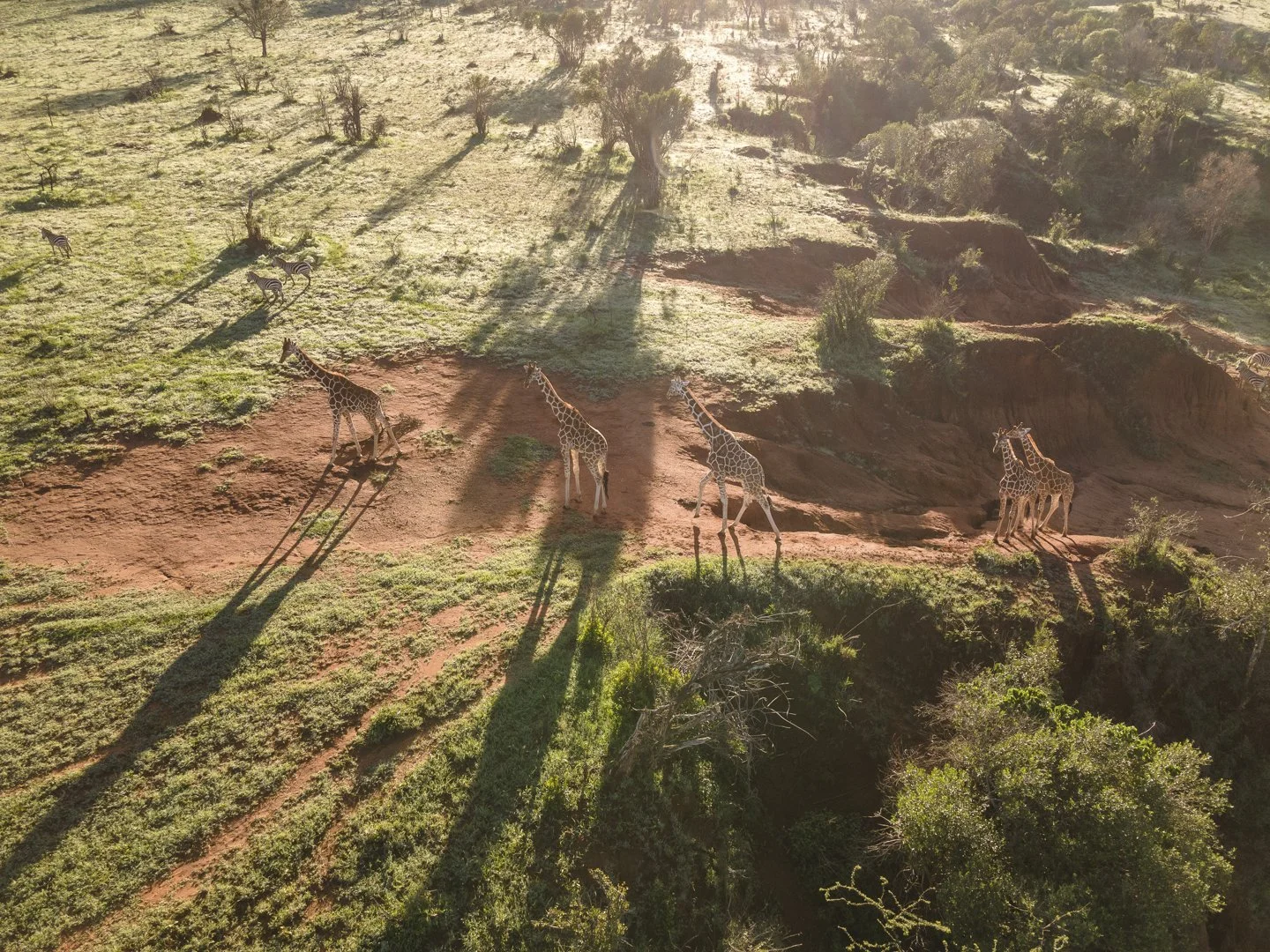 Lolldaigas-aerial-stills-1-63.jpg