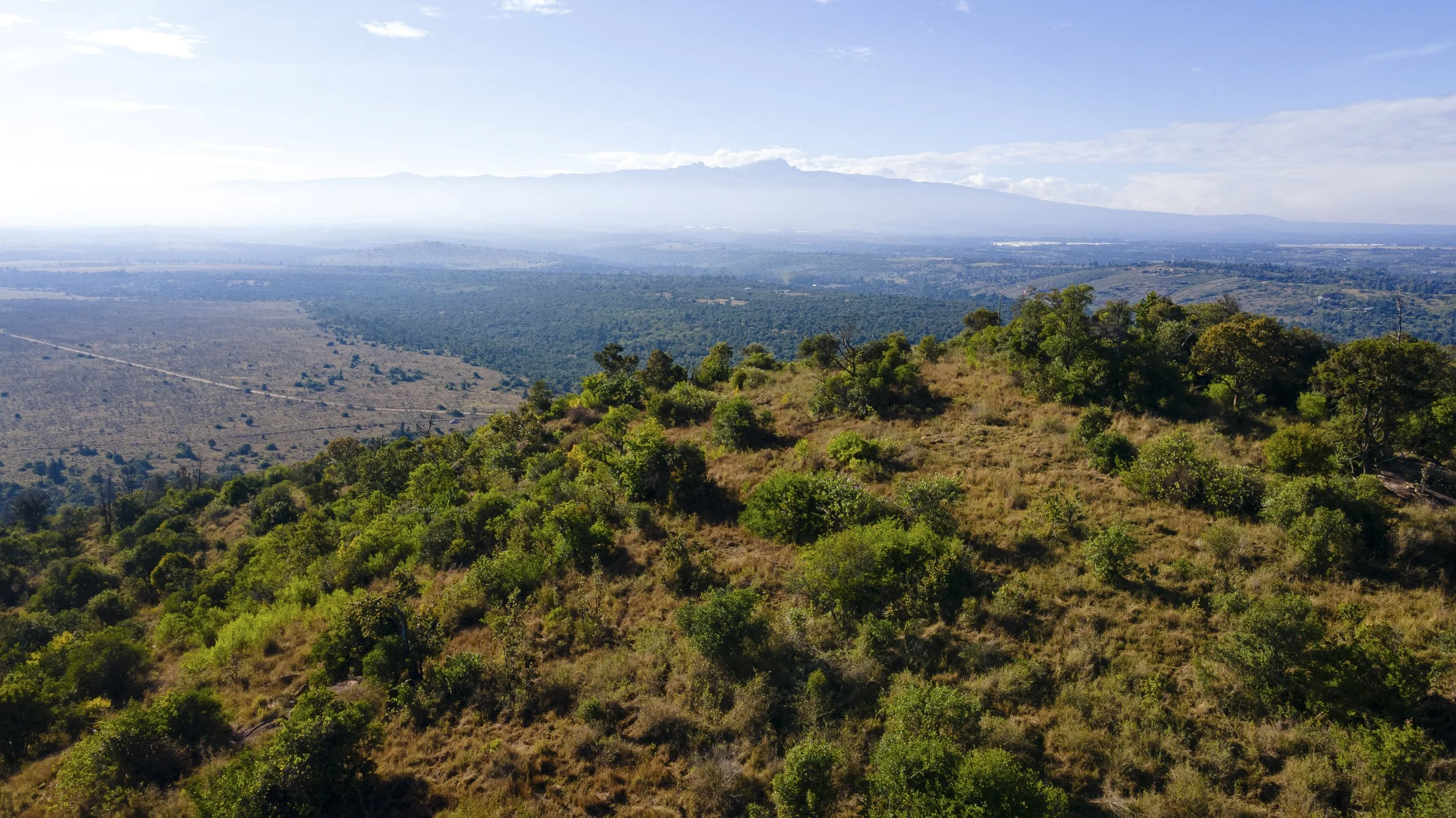 DJI_0343.jpg