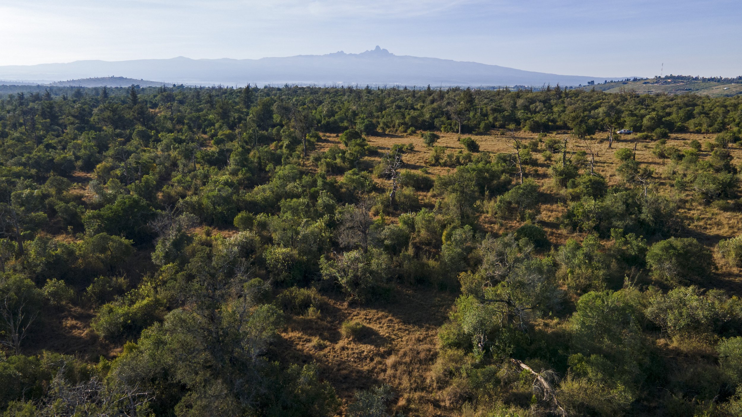 DJI_0497.jpg