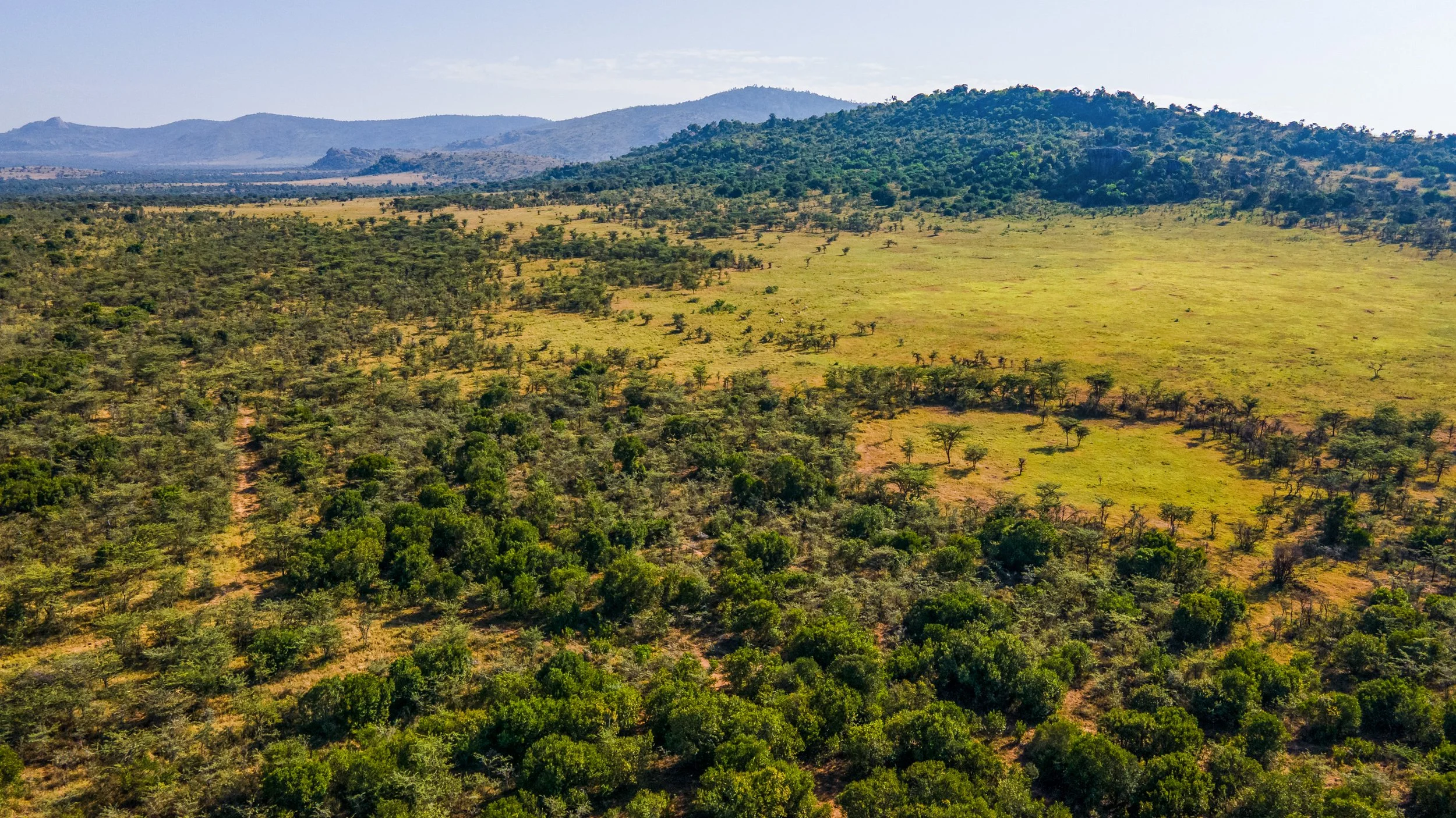 DJI_0922.jpg
