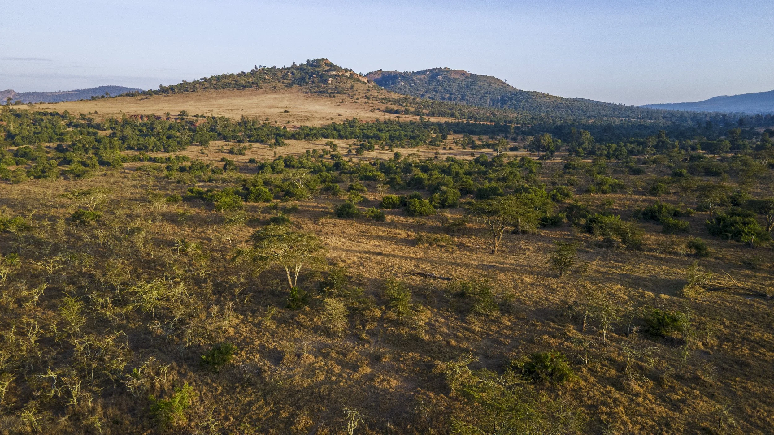 DJI_0657.jpg