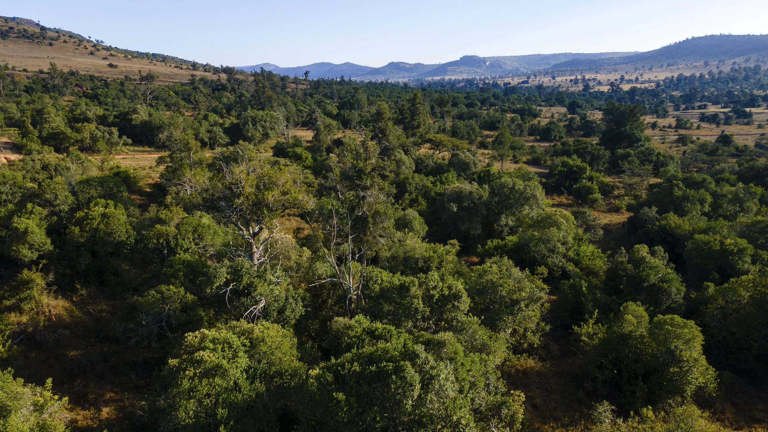 DJI_0276.jpg