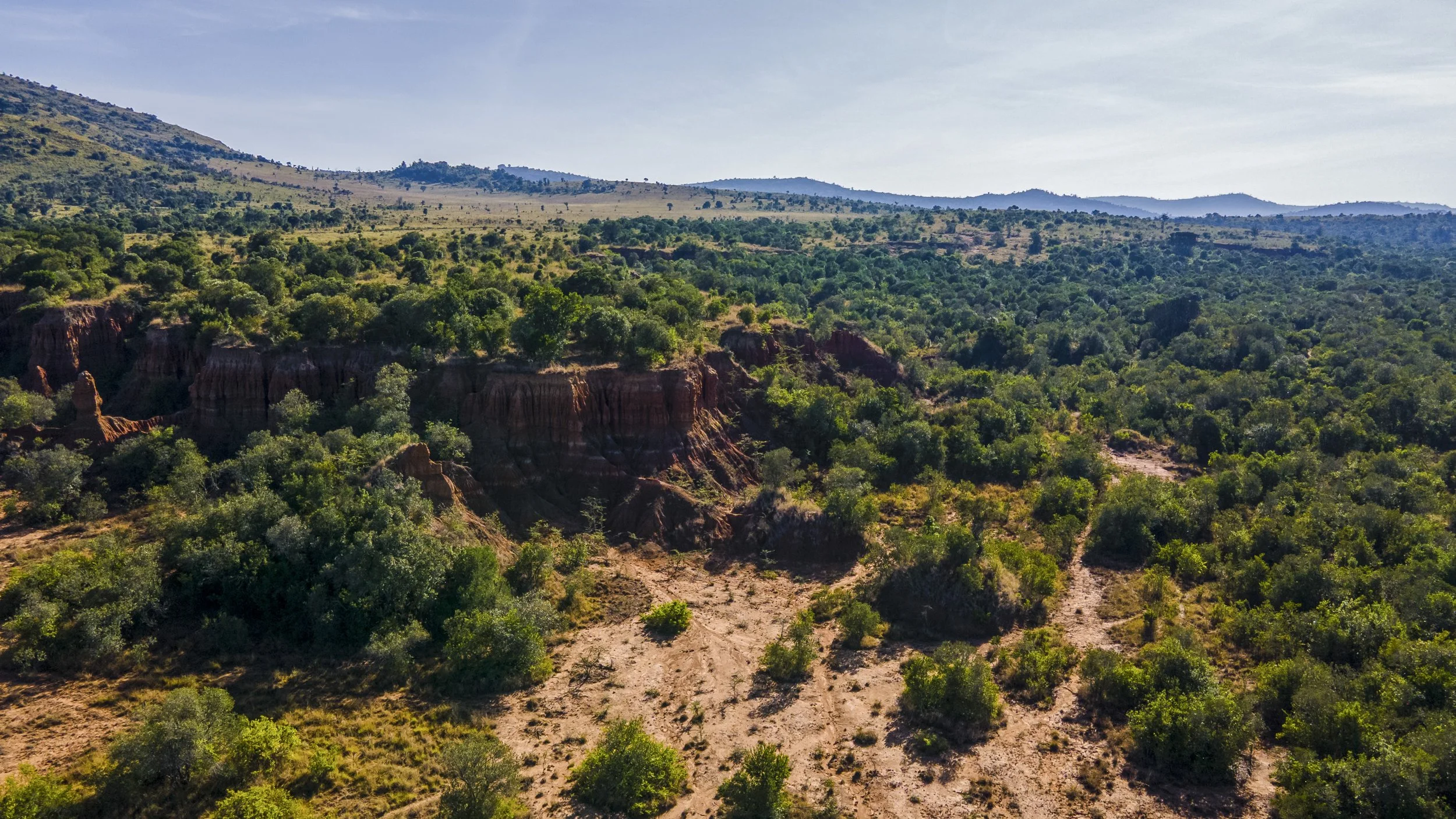 DJI_0265.jpg
