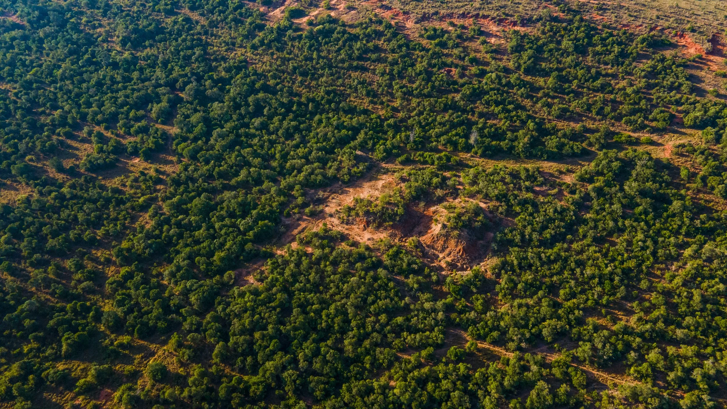 DJI_0738.jpg