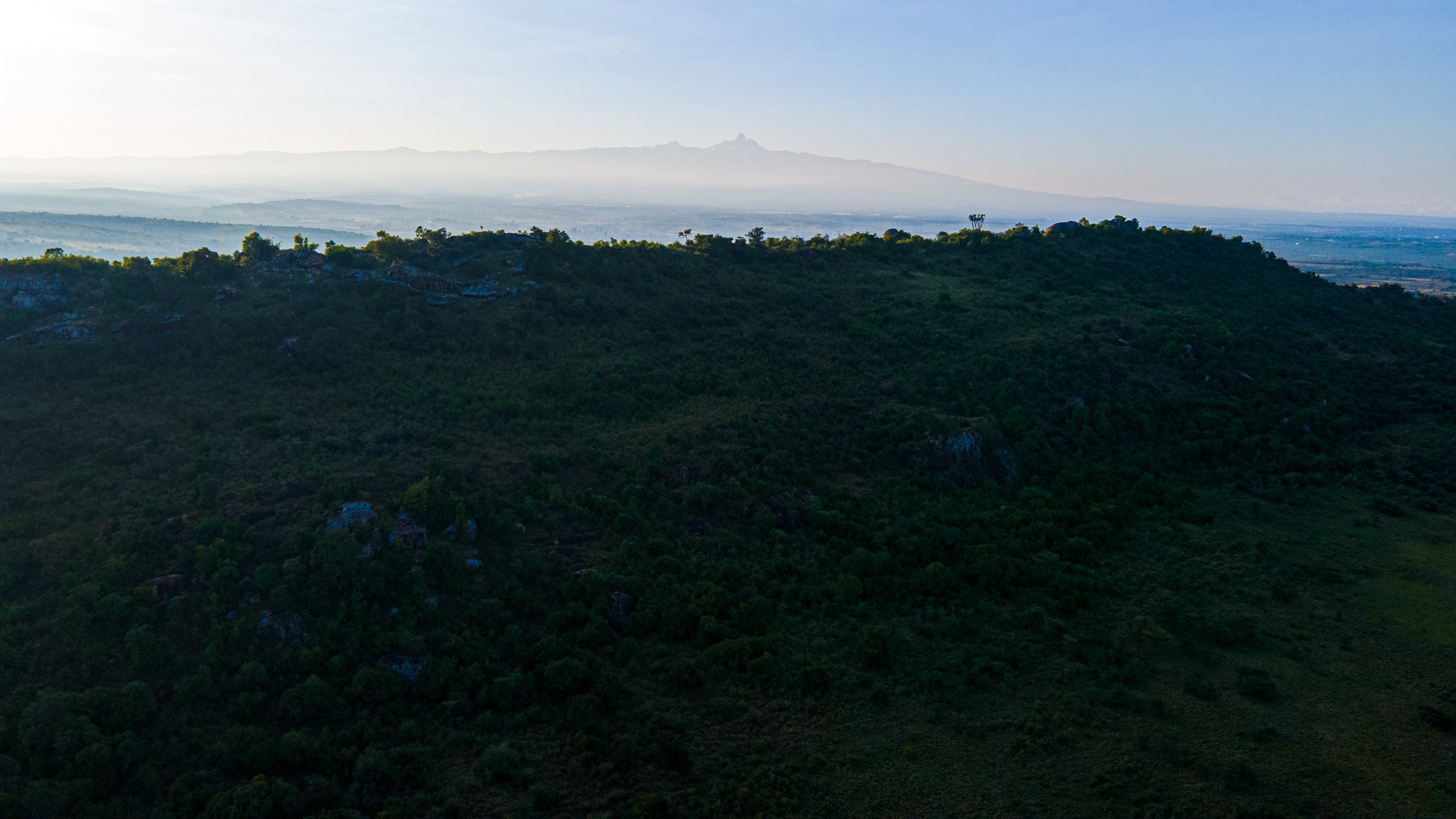 DJI_0936.jpg