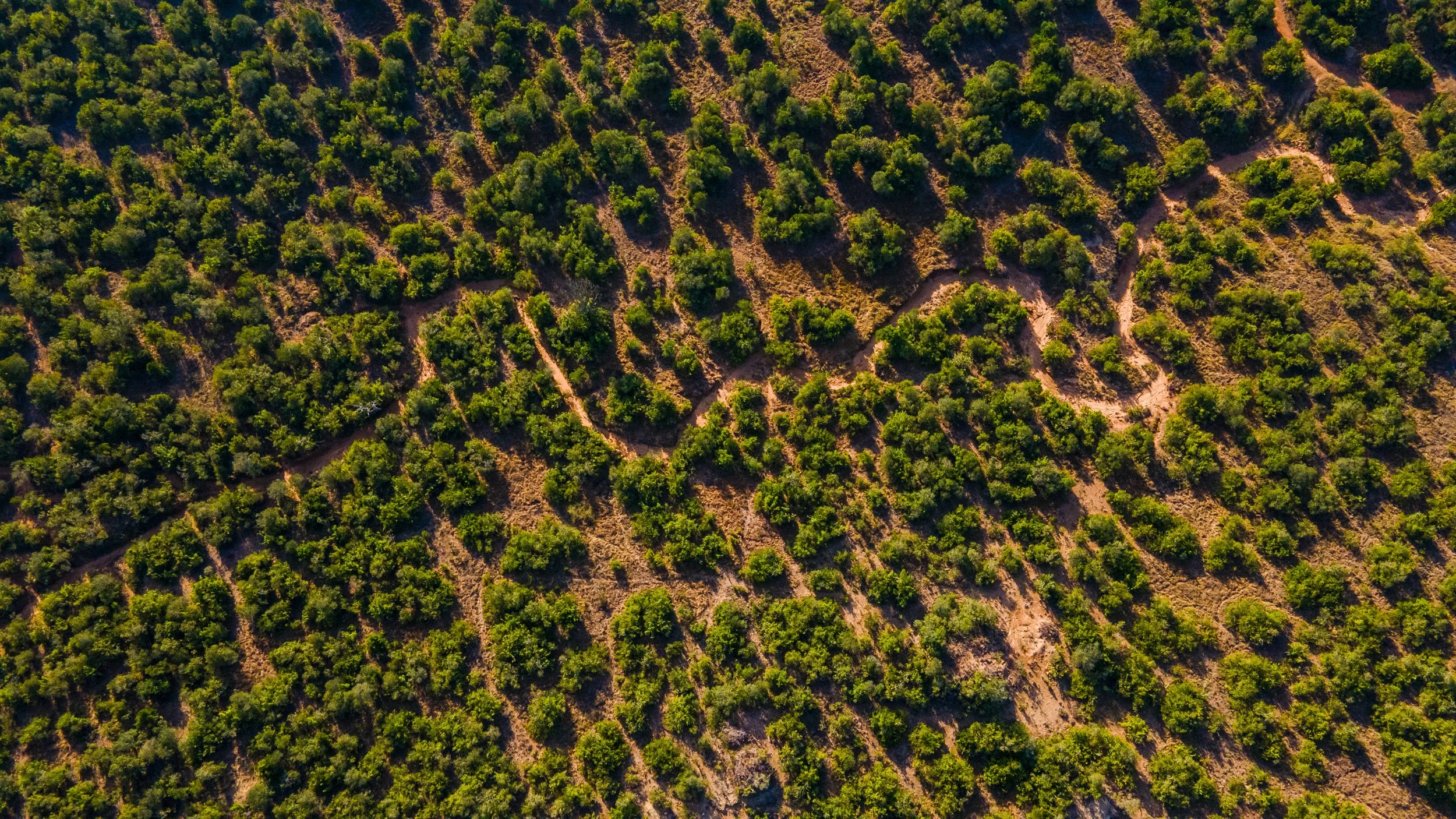 DJI_0809.jpg
