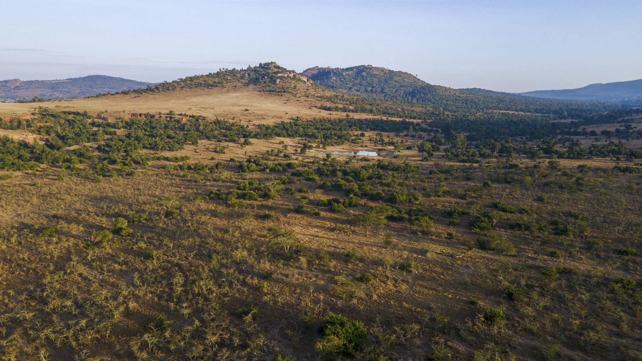 DJI_0660.jpg