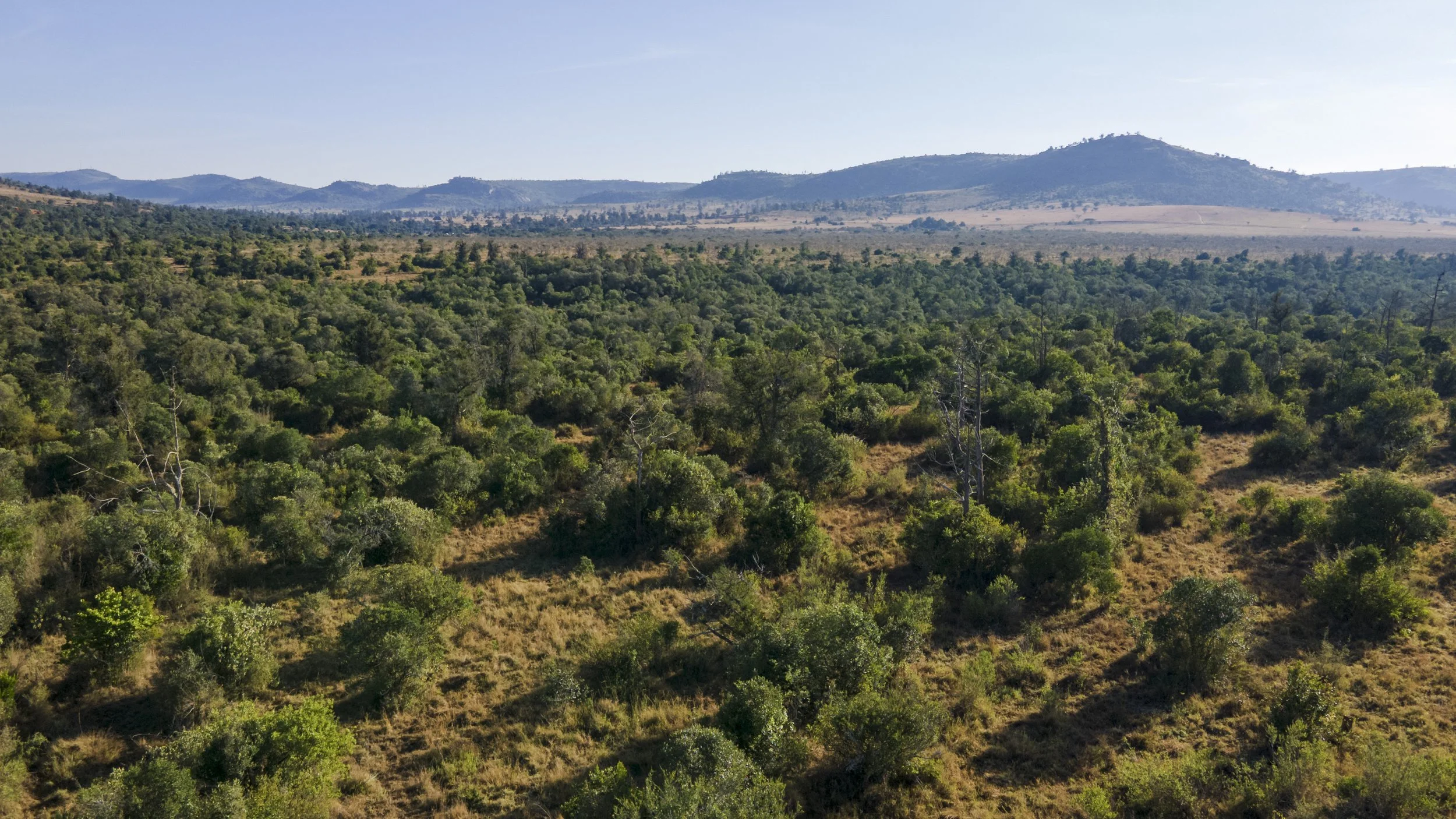 DJI_0501.jpg