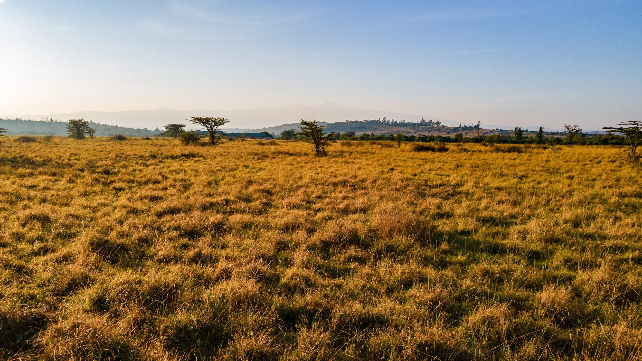 DJI_0041.jpg